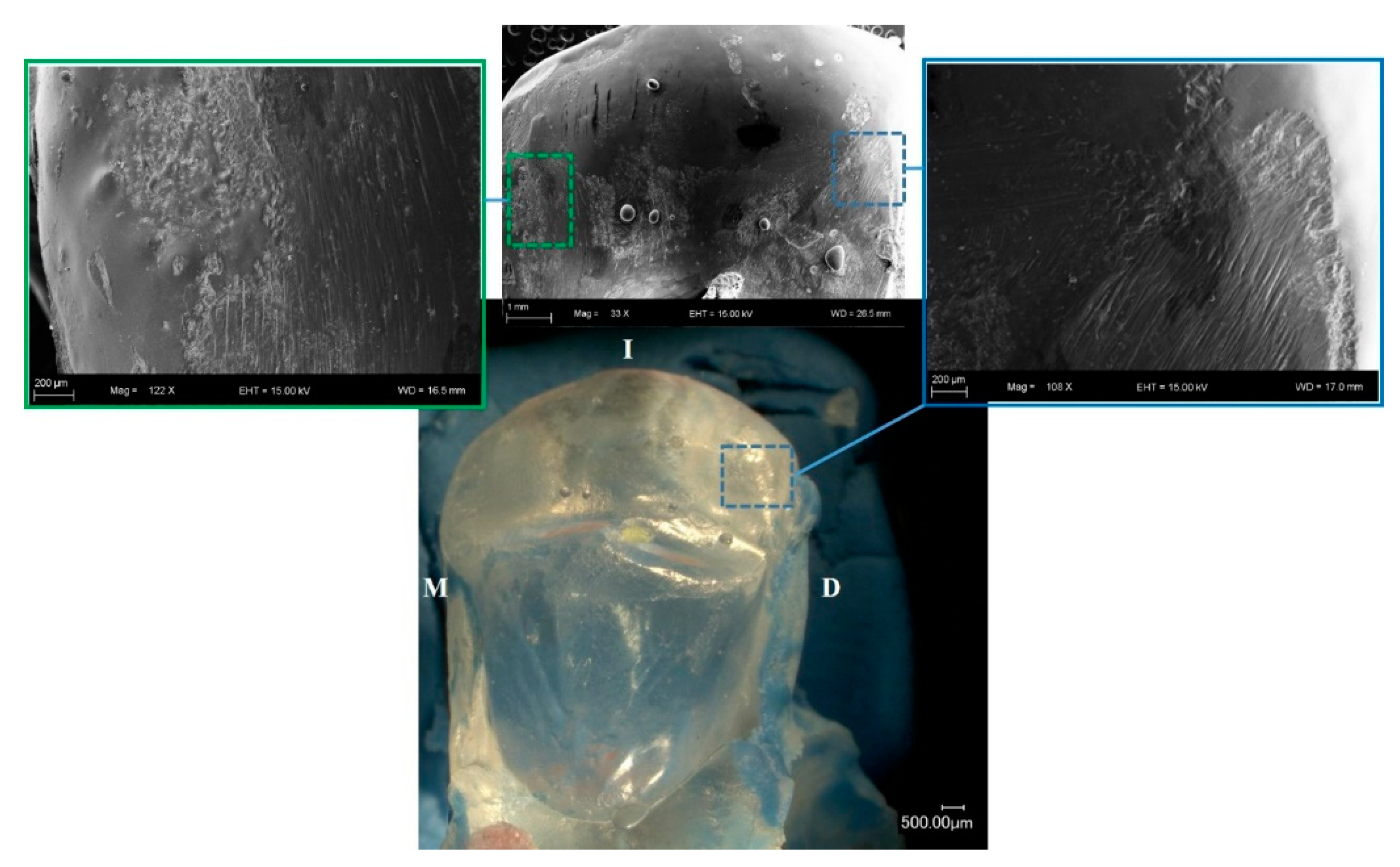 Symmetry 13 01755 g001