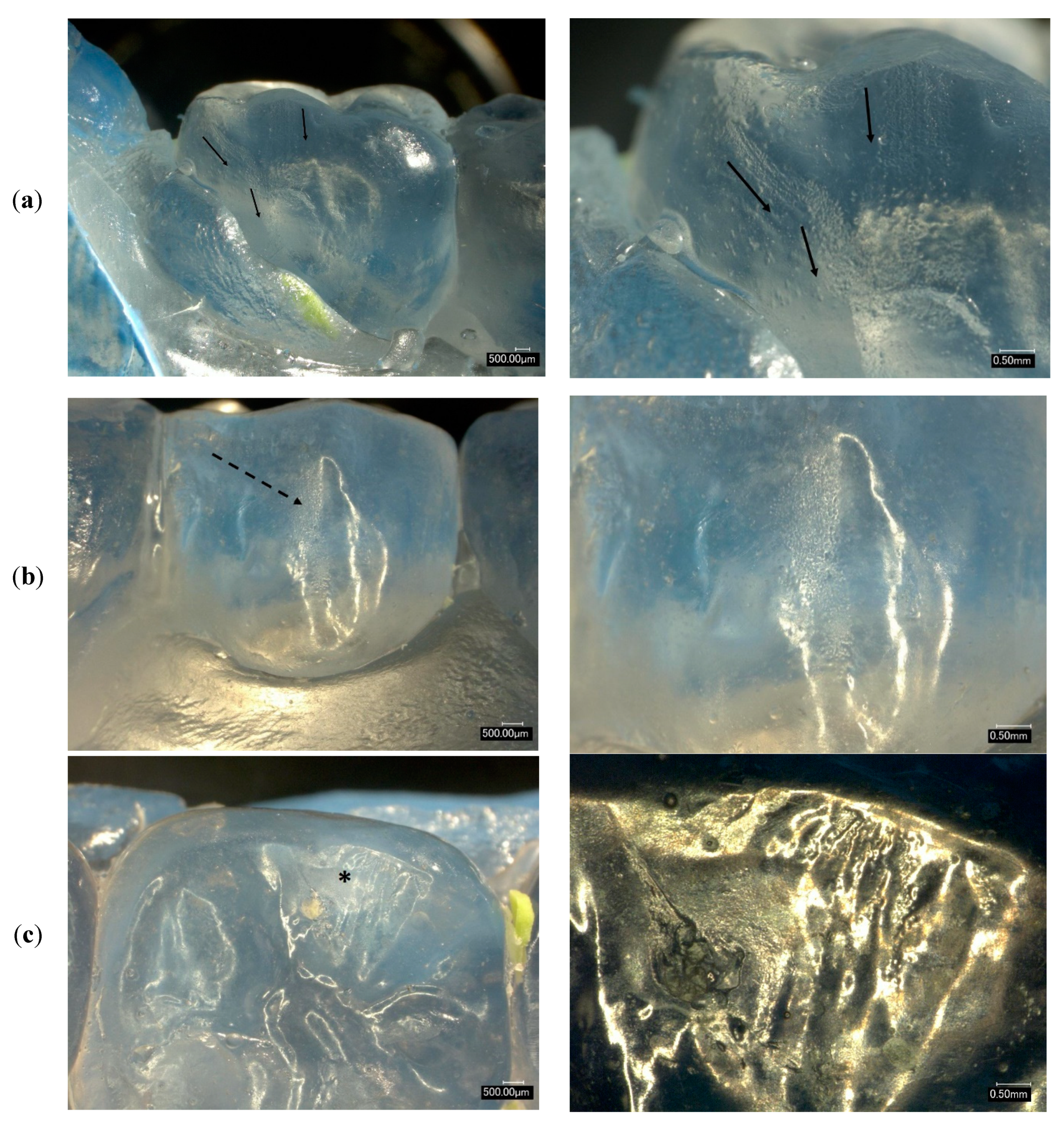 Symmetry 13 01755 g002