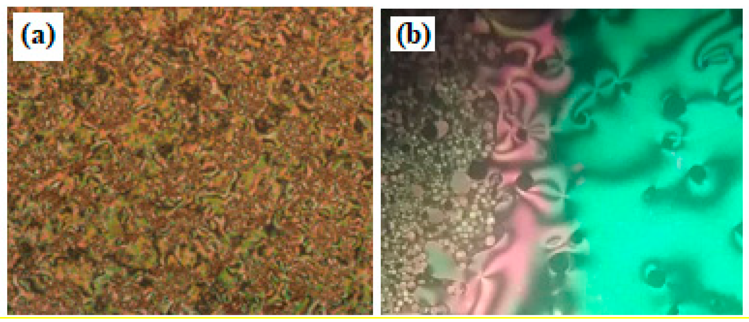 Symmetry 13 01785 g002