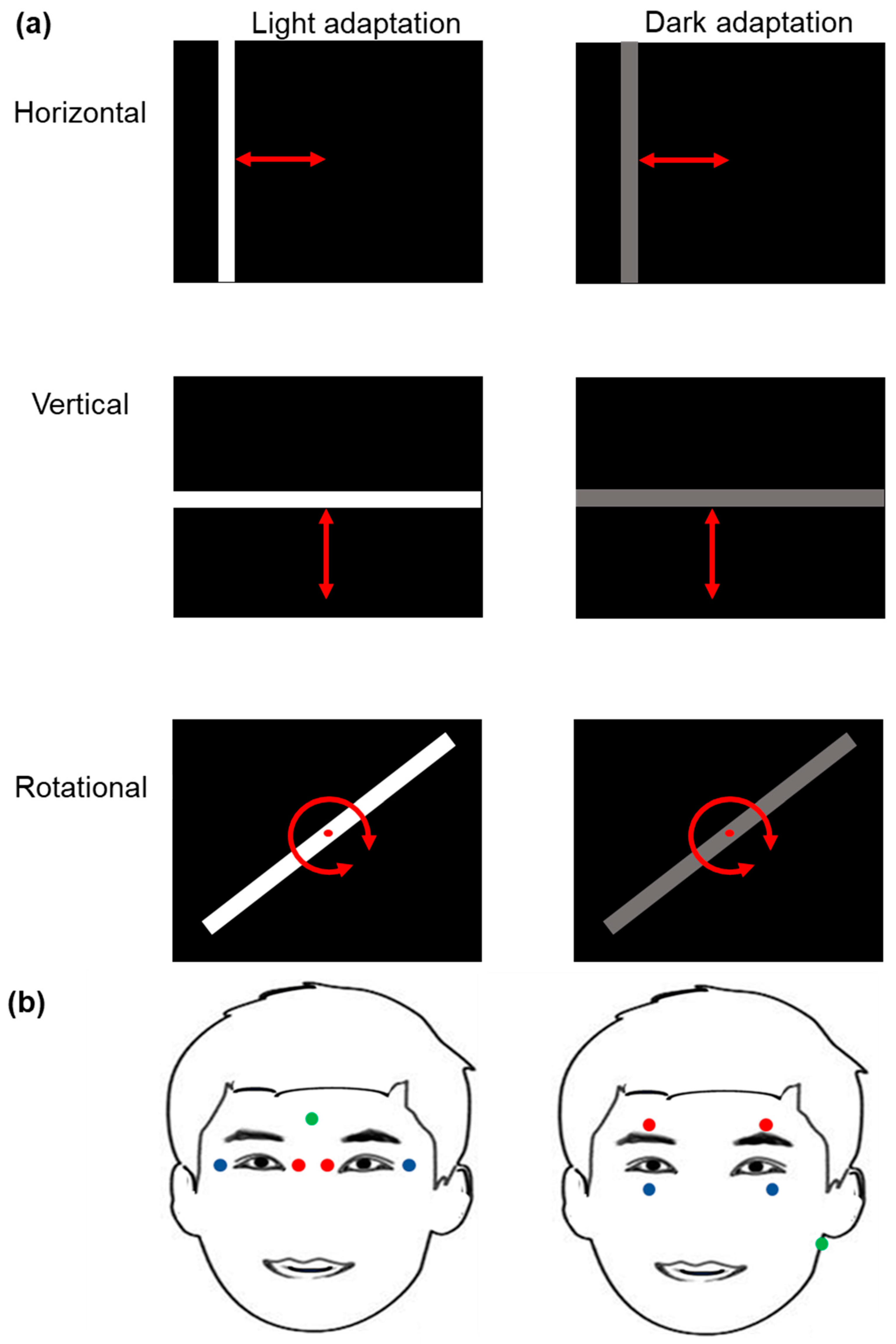 Symmetry 13 01809 g001
