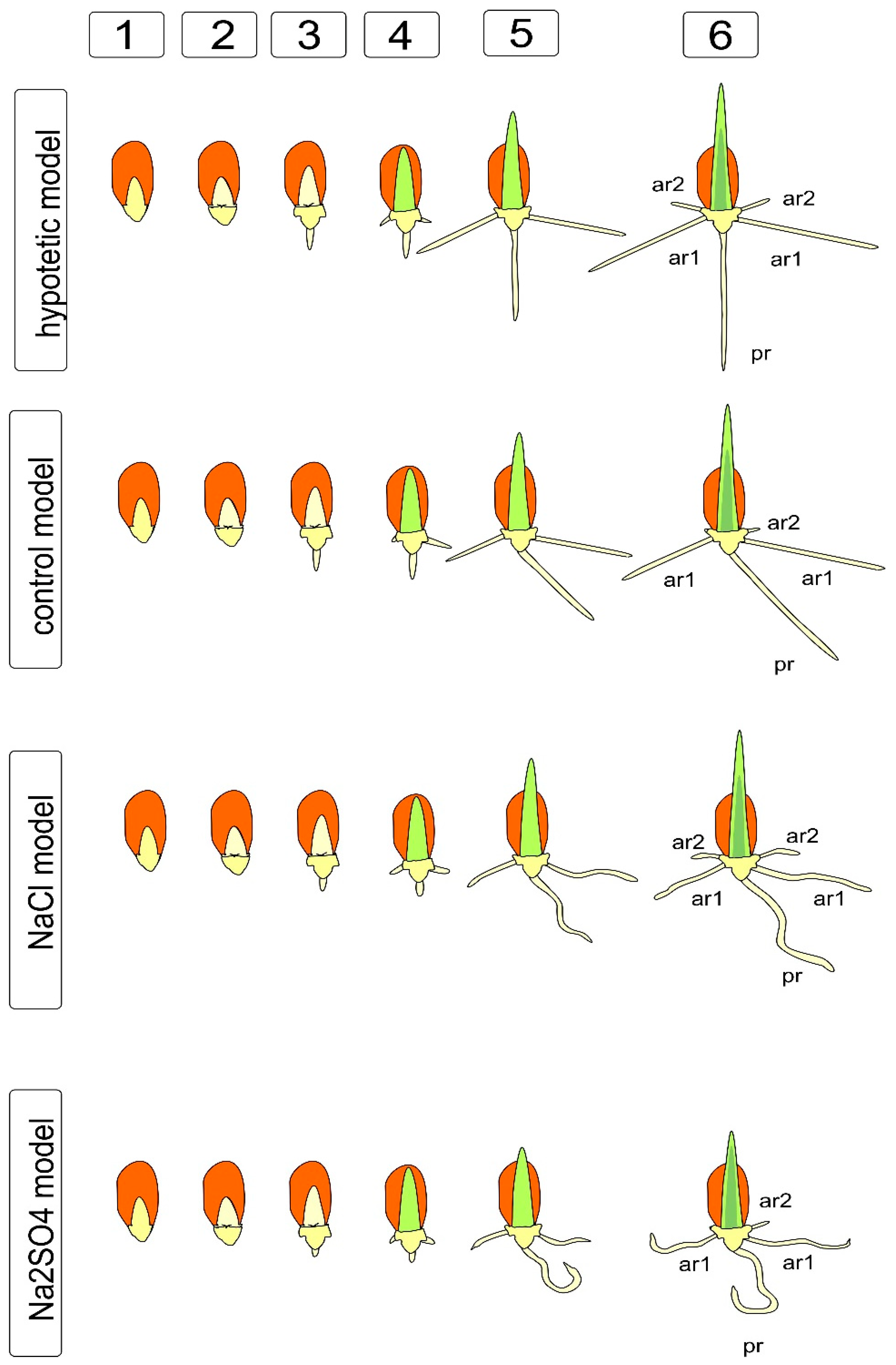 Symmetry 13 01811 g002