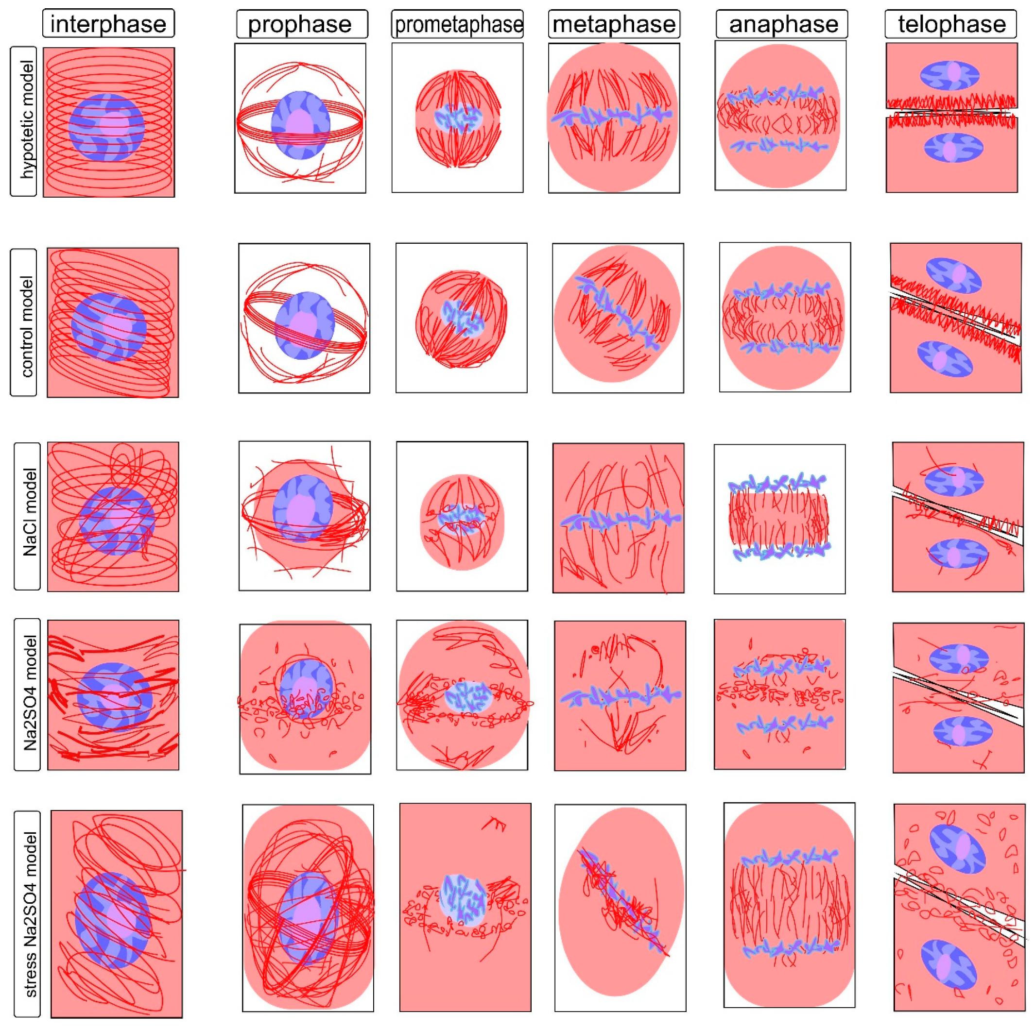 Symmetry 13 01811 g003