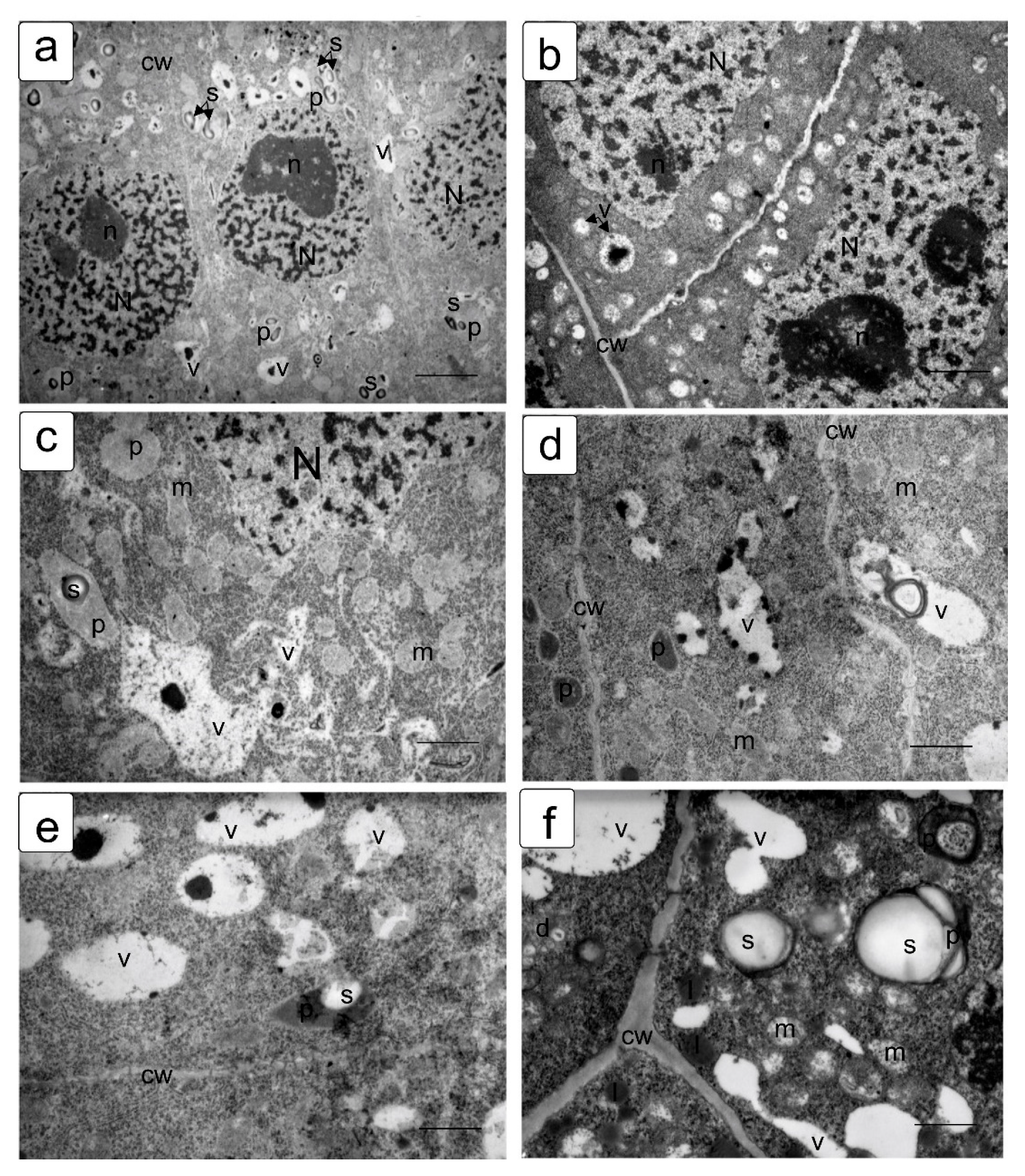 Symmetry 13 01811 g004