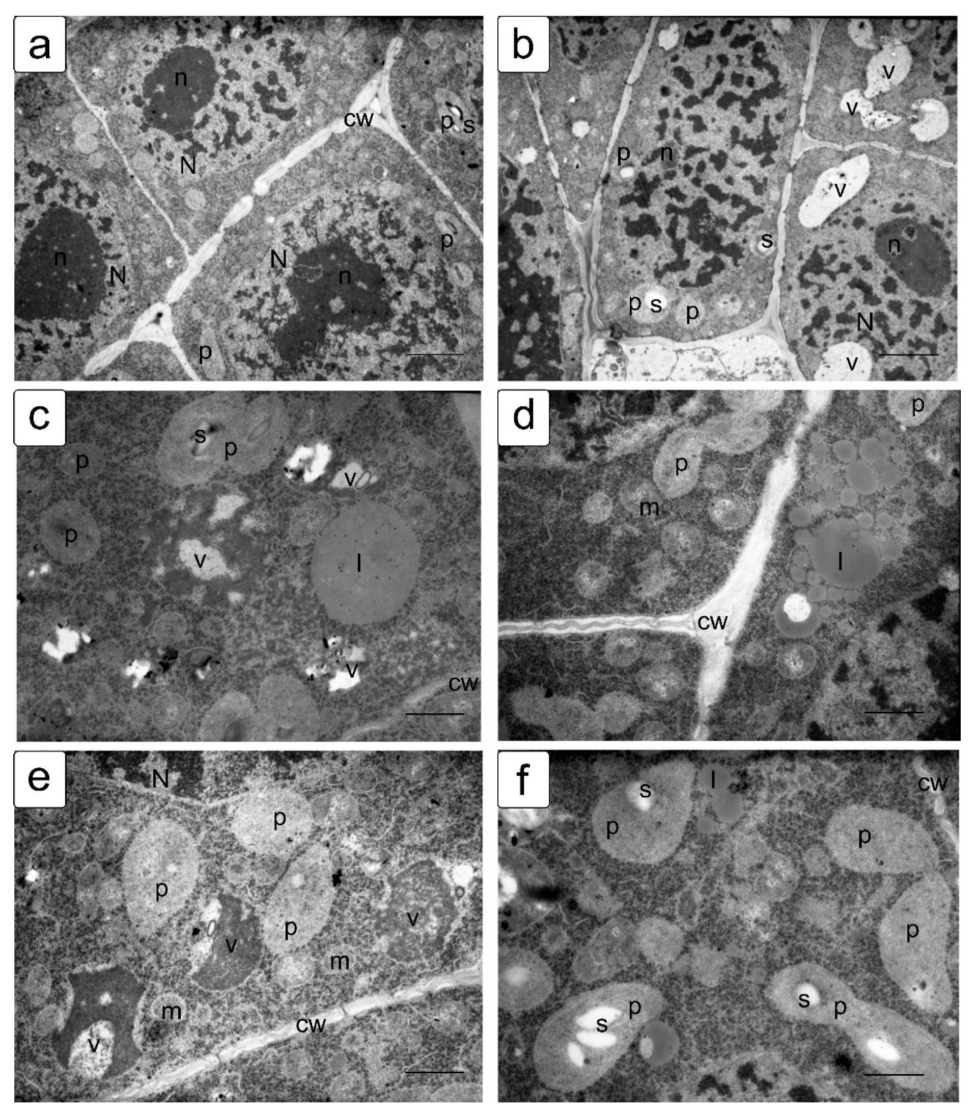 Symmetry 13 01811 g005