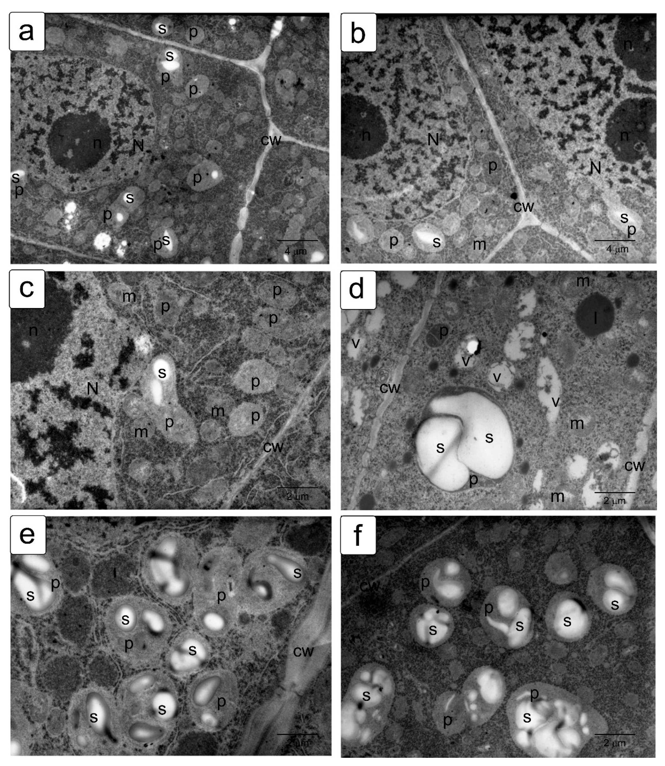Symmetry 13 01811 g007