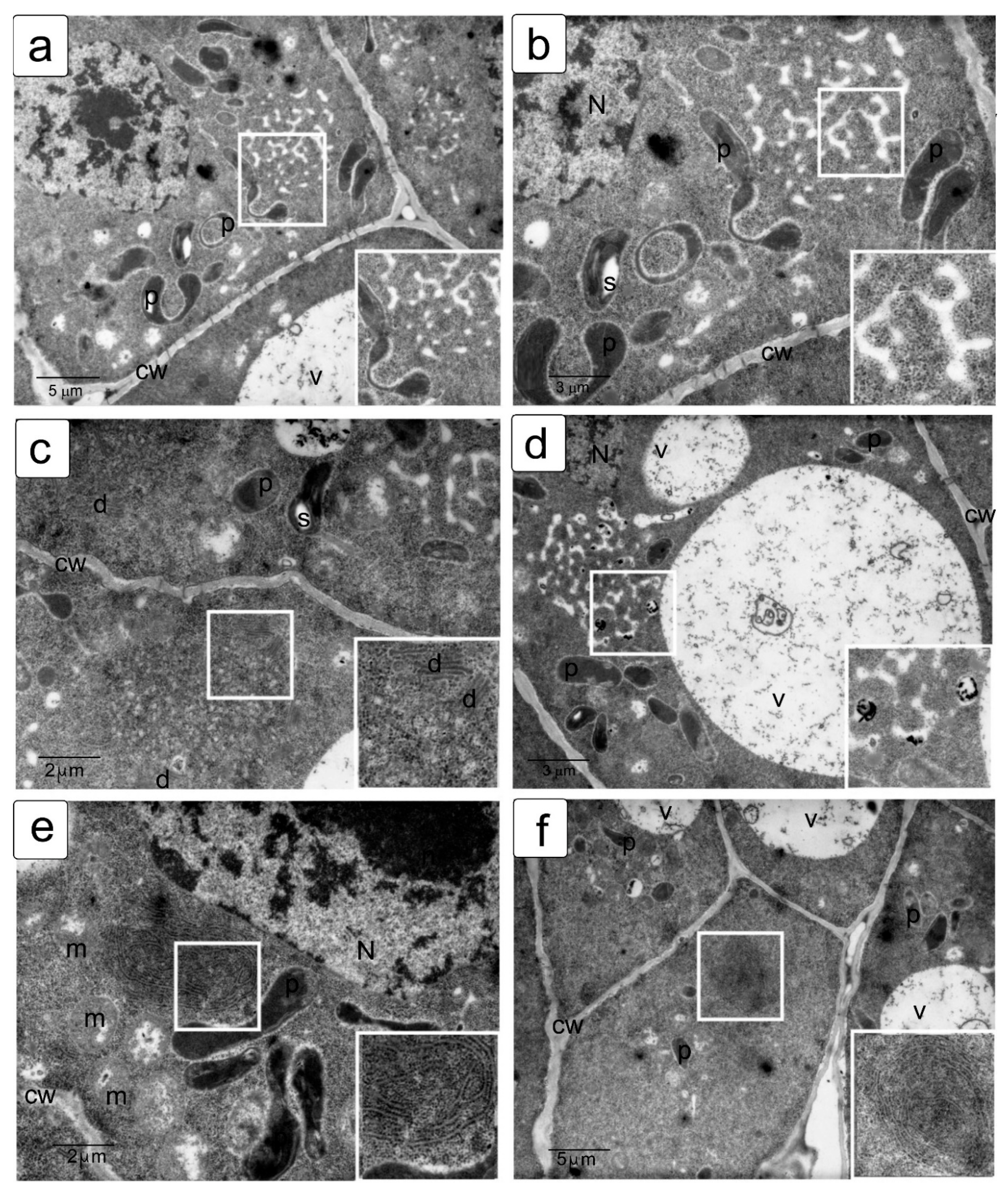 Symmetry 13 01811 g008
