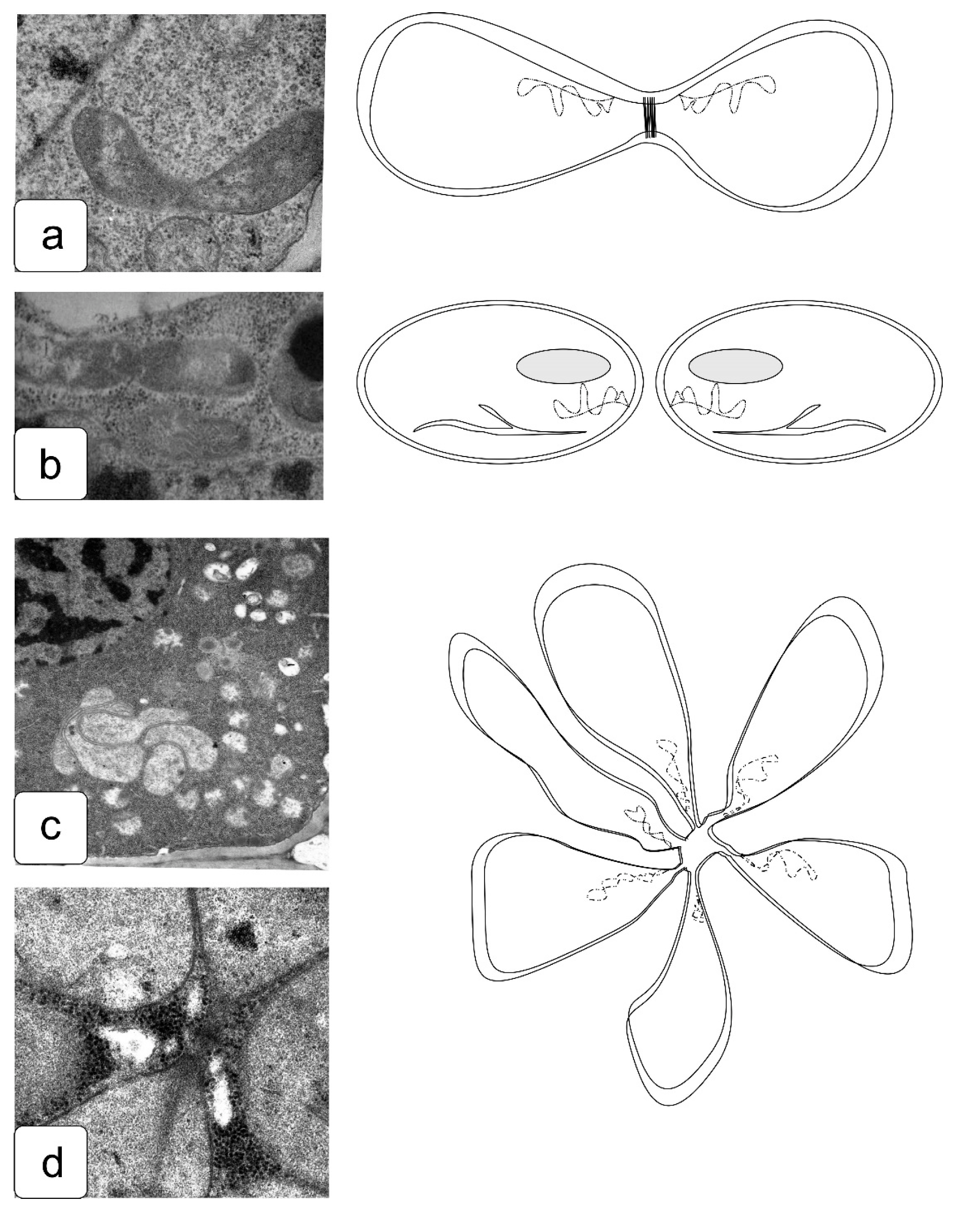 Symmetry 13 01811 g012