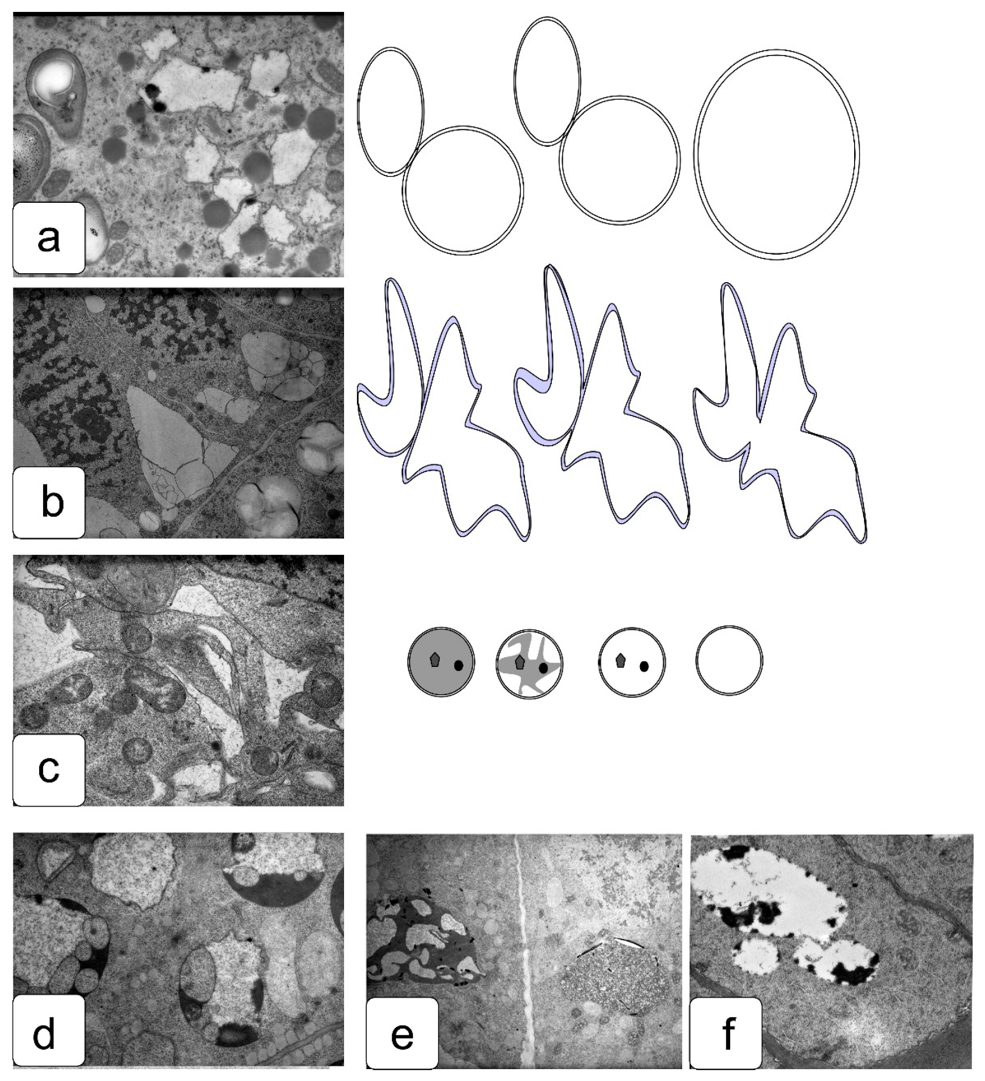 Symmetry 13 01811 g013