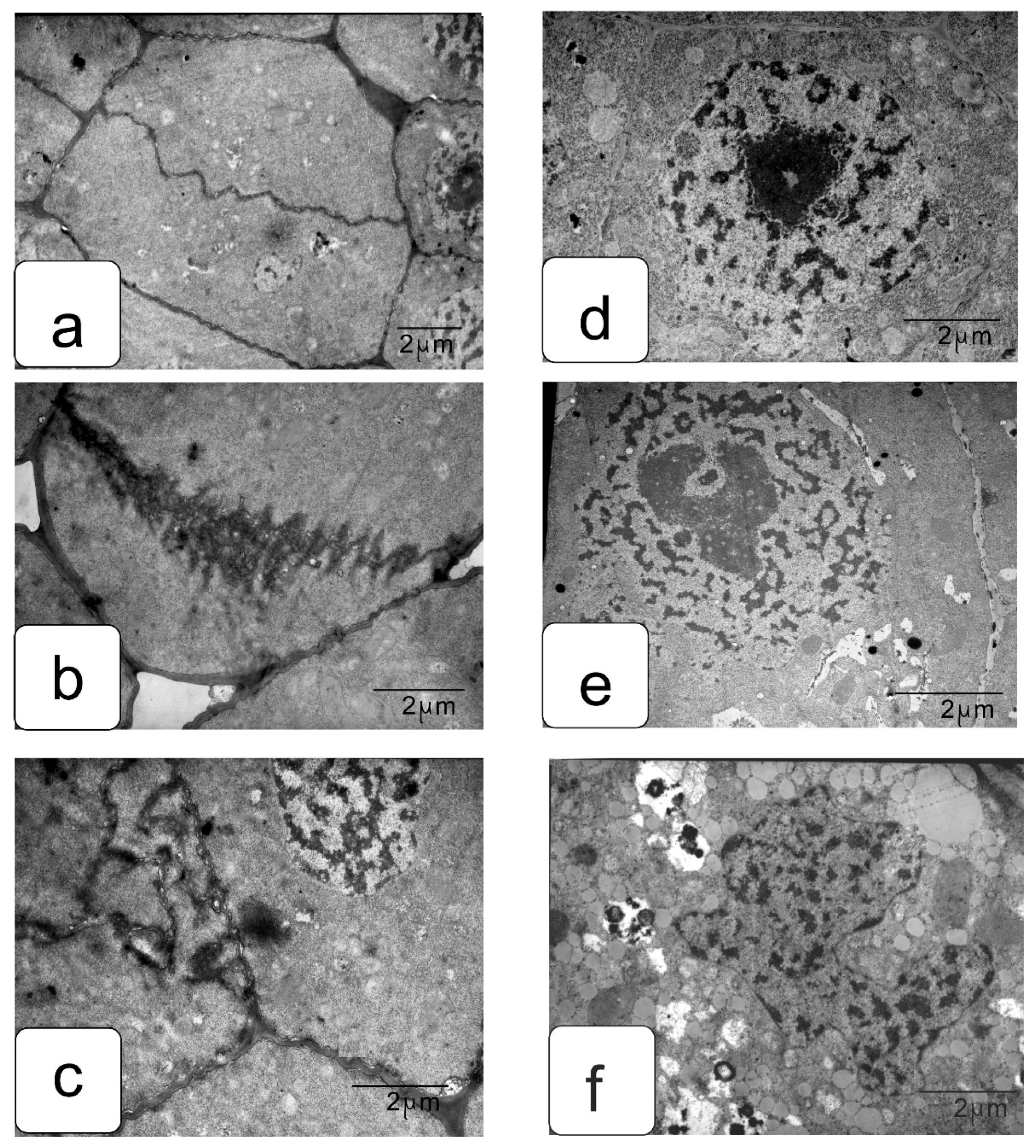 Symmetry 13 01811 g014