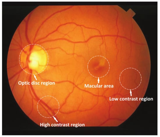 Symmetry 13 01820 g001 550