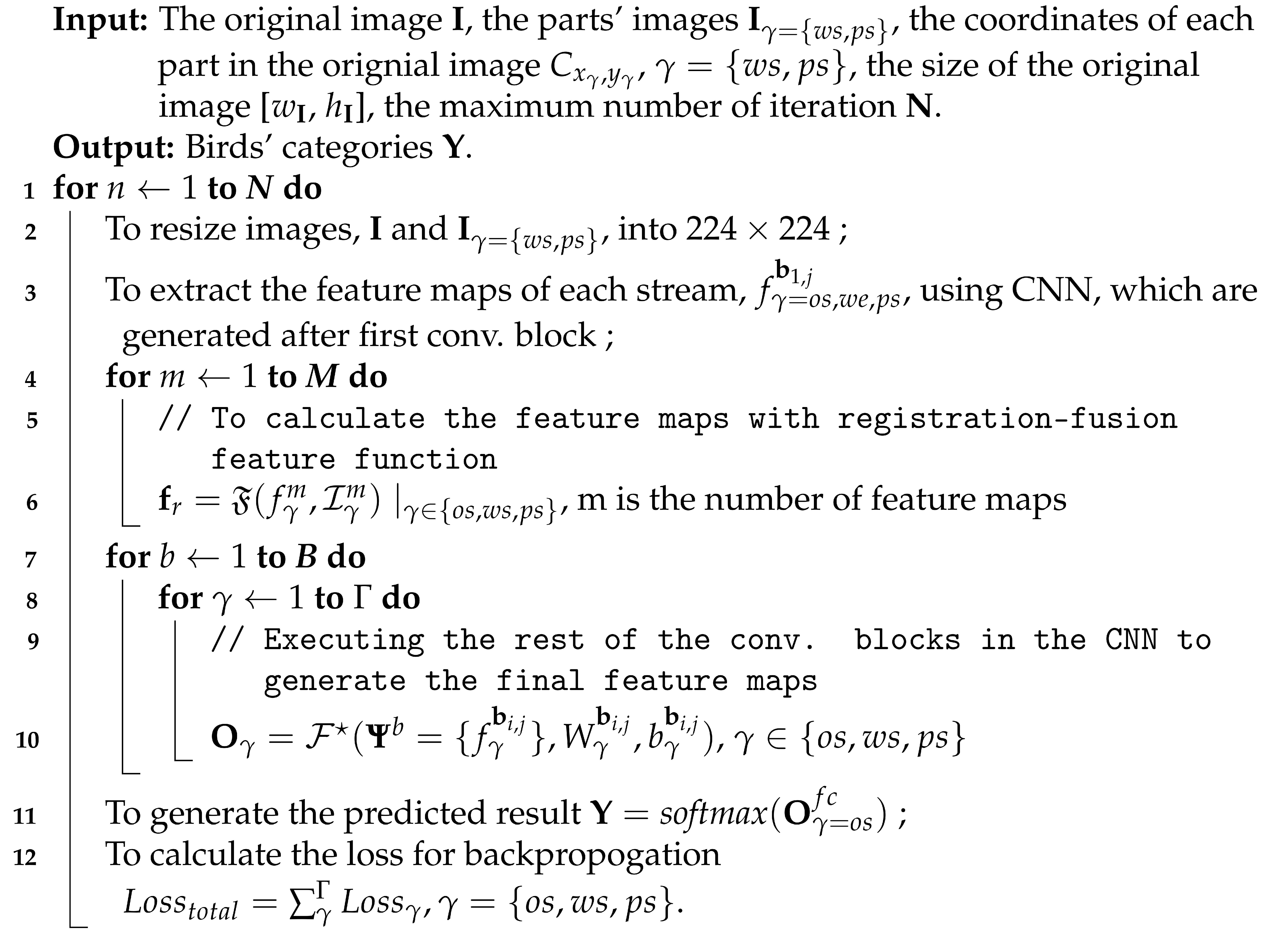 Symmetry 13 01838 i001