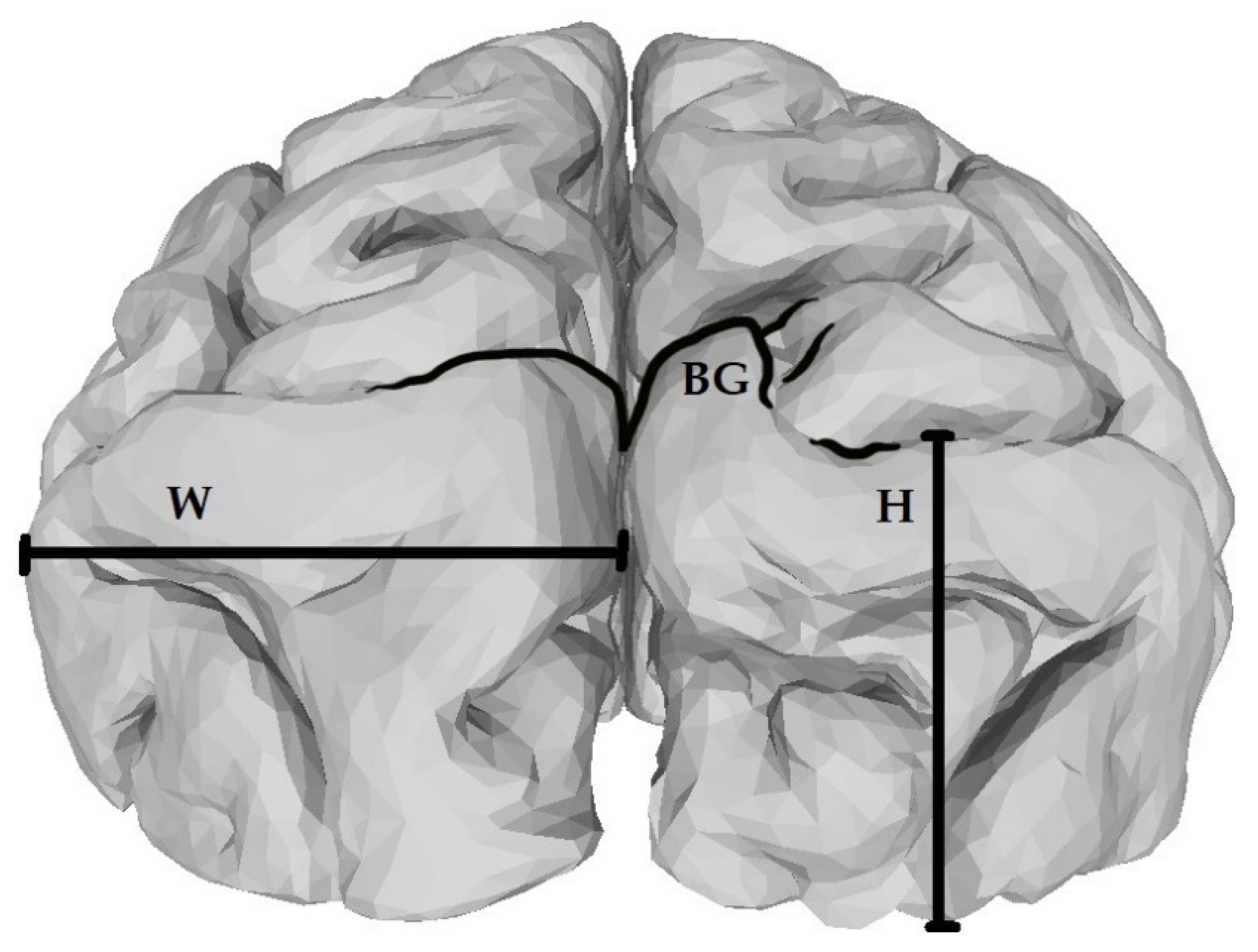 Symmetry 13 01862 g001