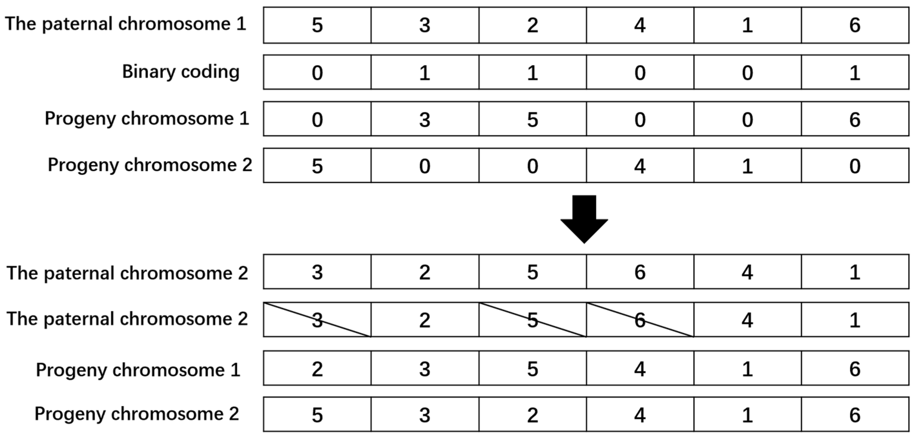 Symmetry 13 01904 g007