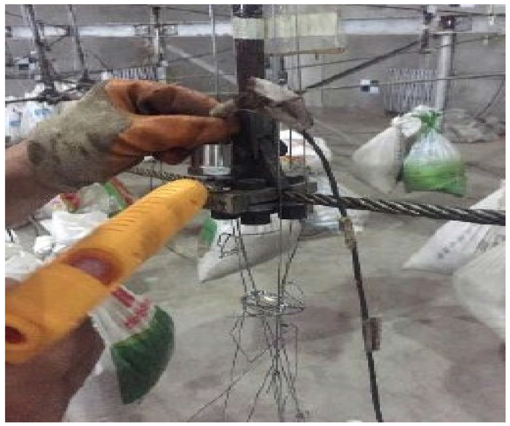 Symmetry 13 01927 g016