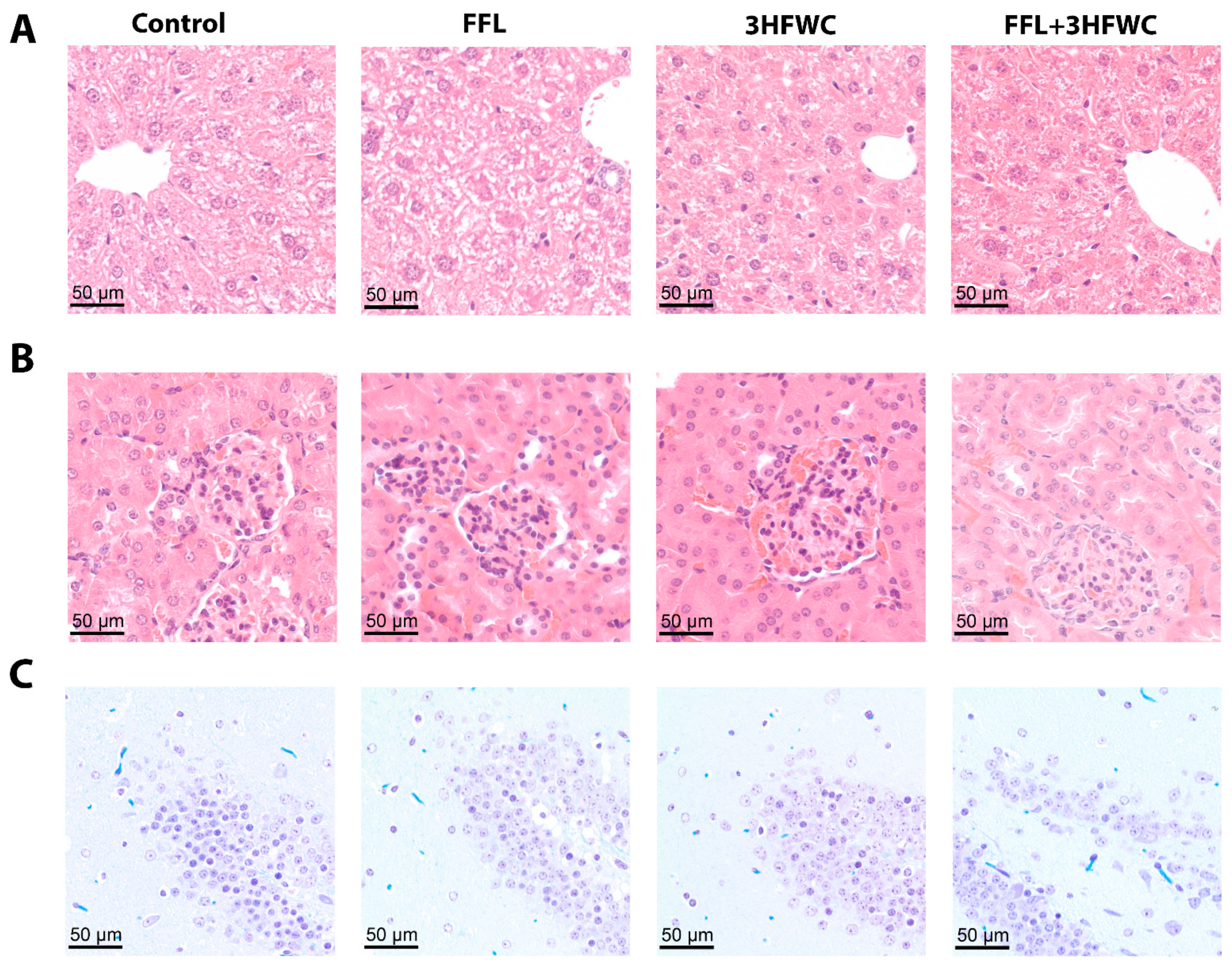 Symmetry 13 02004 g004