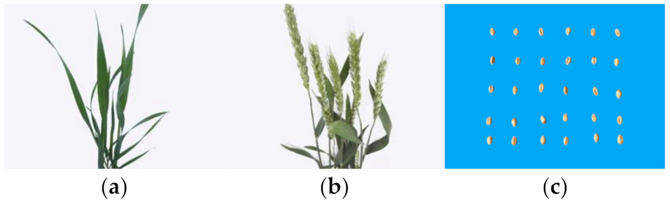 Symmetry 13 02012 g001