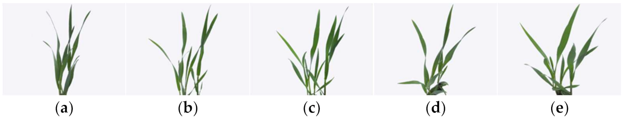 Symmetry 13 02012 g002