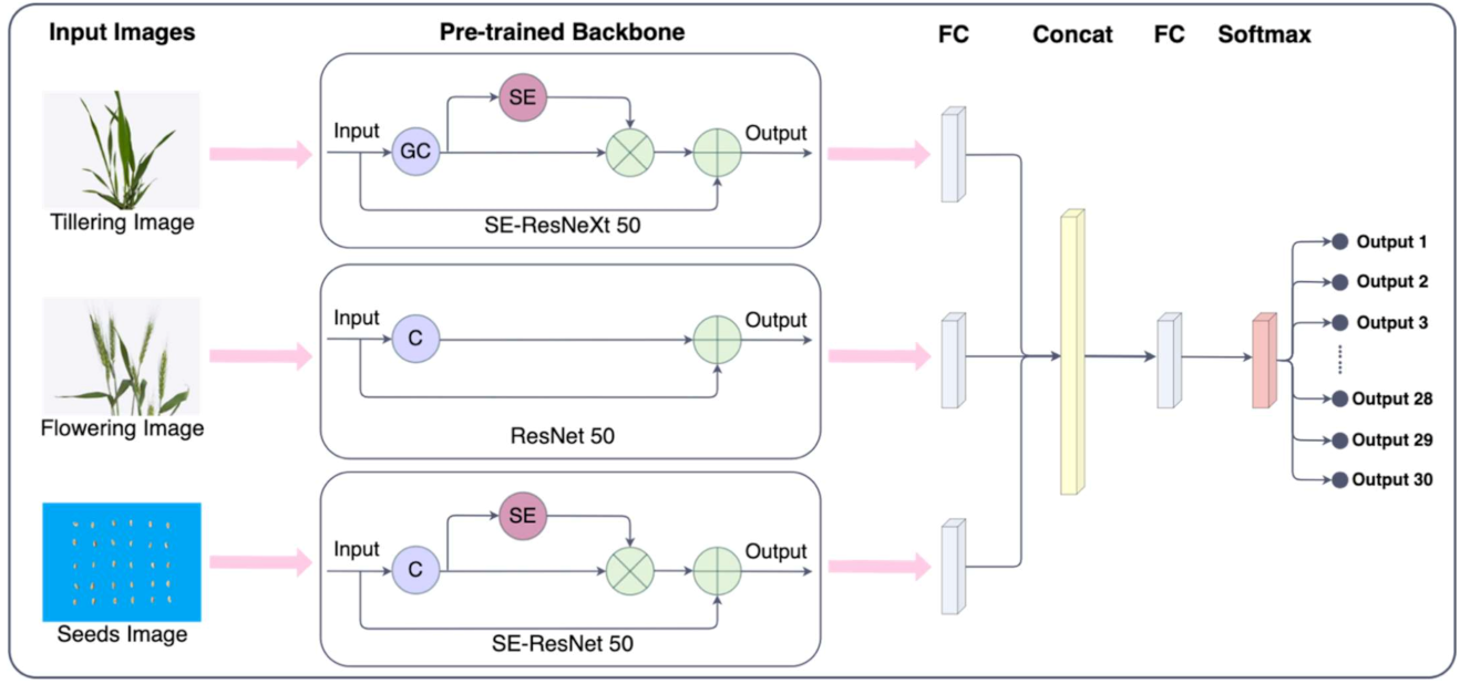 Symmetry 13 02012 g006