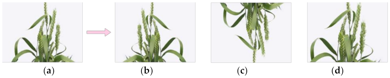 Symmetry 13 02012 g009