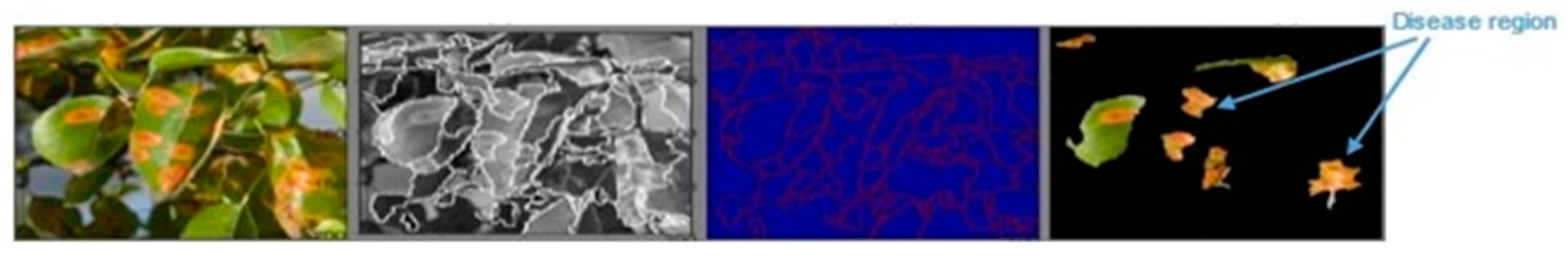 Symmetry 13 02073 g008