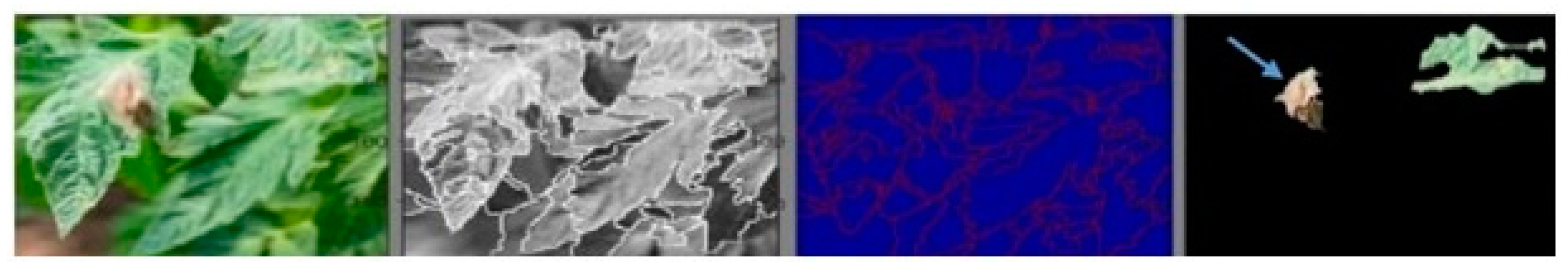 Symmetry 13 02073 g009