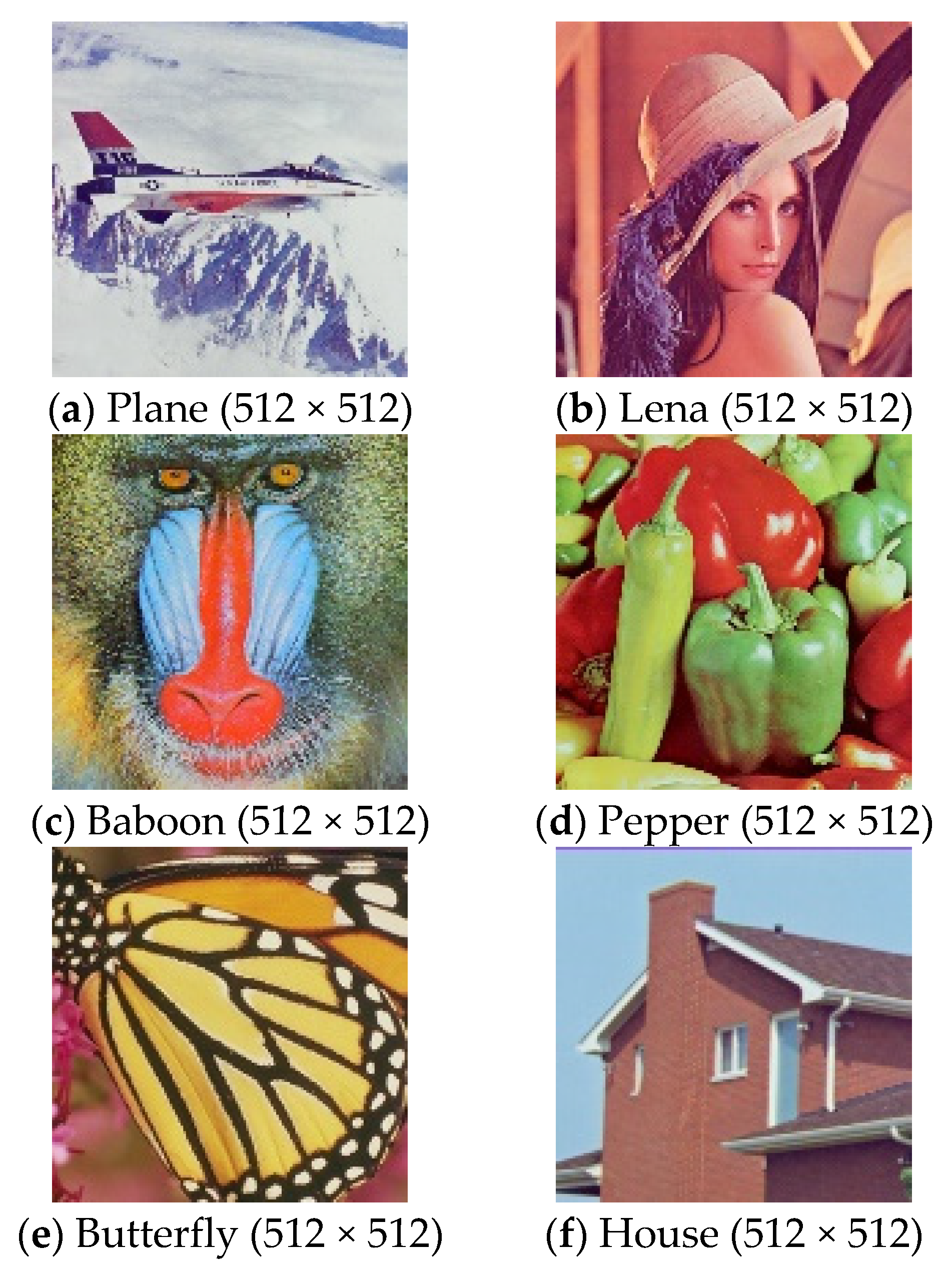 Symmetry 13 02114 g002a