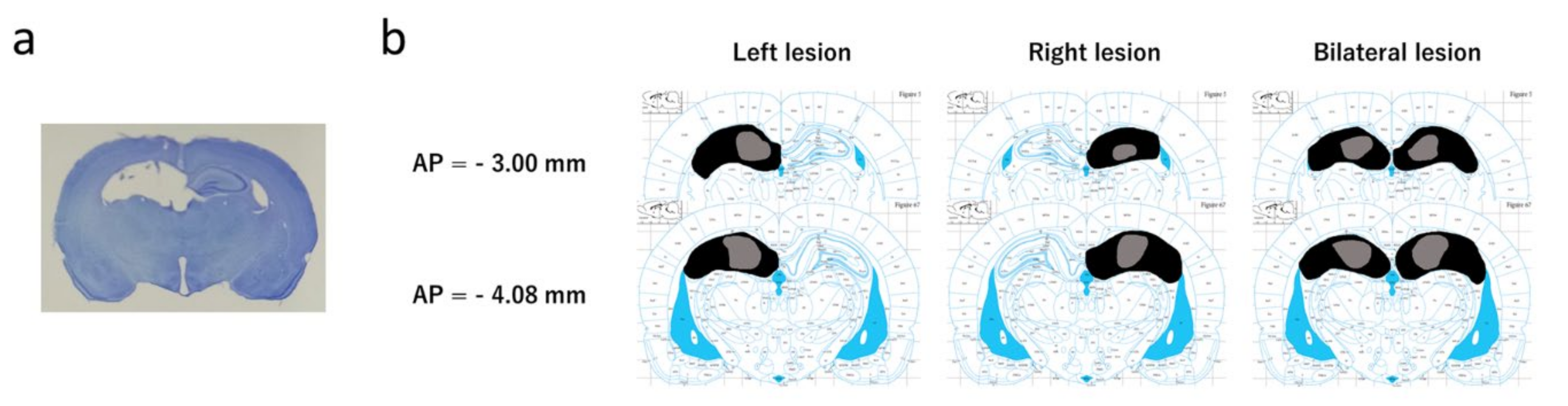 Symmetry 13 02138 g001