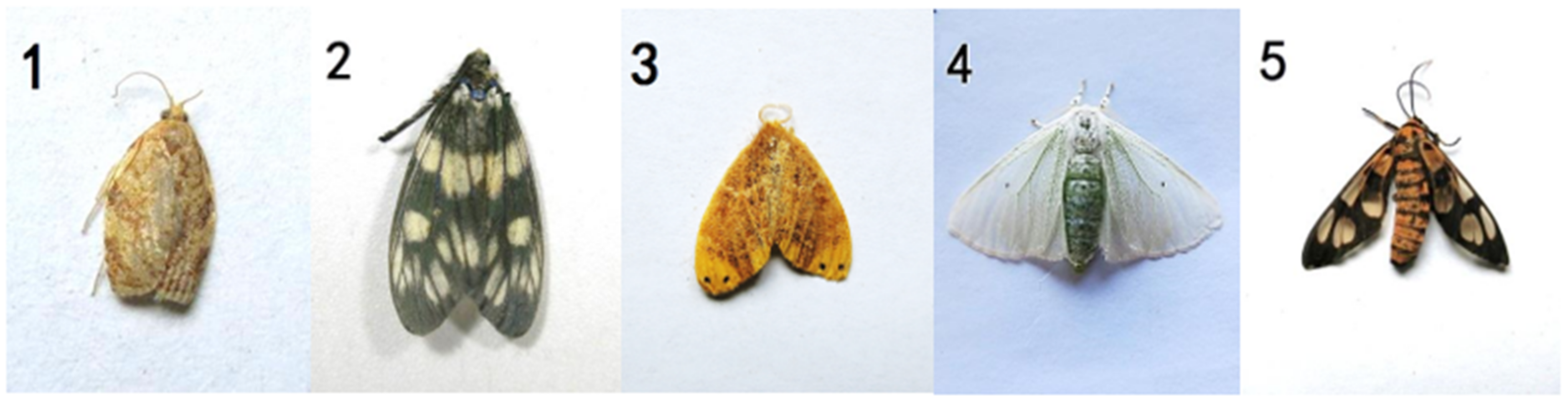 Symmetry 13 02140 g001a