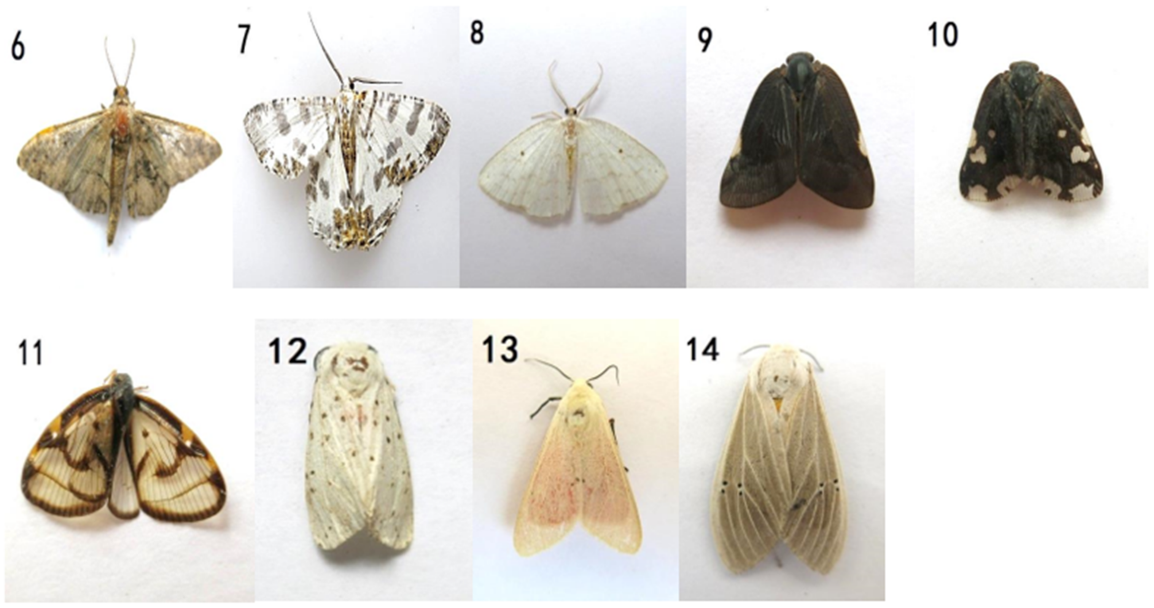 Symmetry 13 02140 g001b