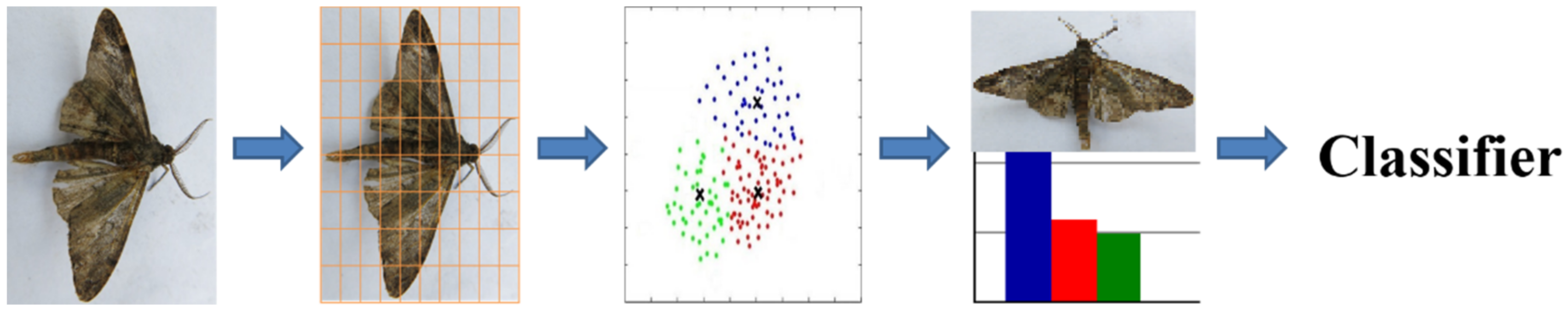Symmetry 13 02140 g004