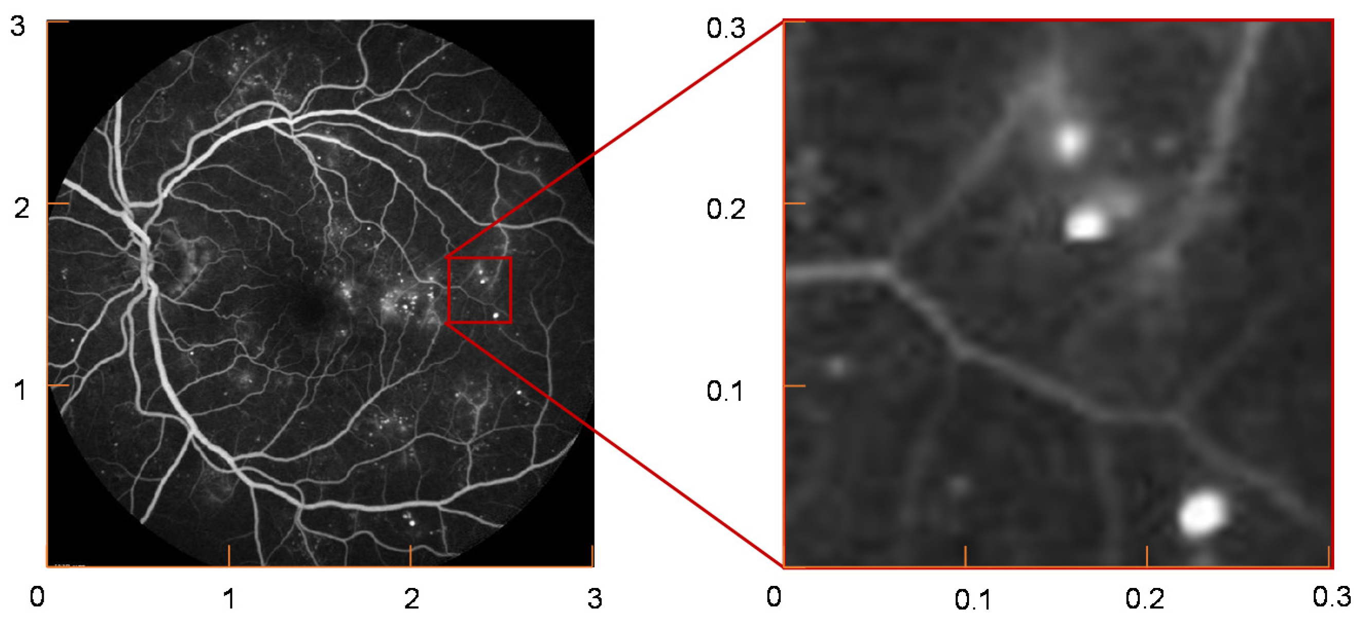 Symmetry 13 02147 g002