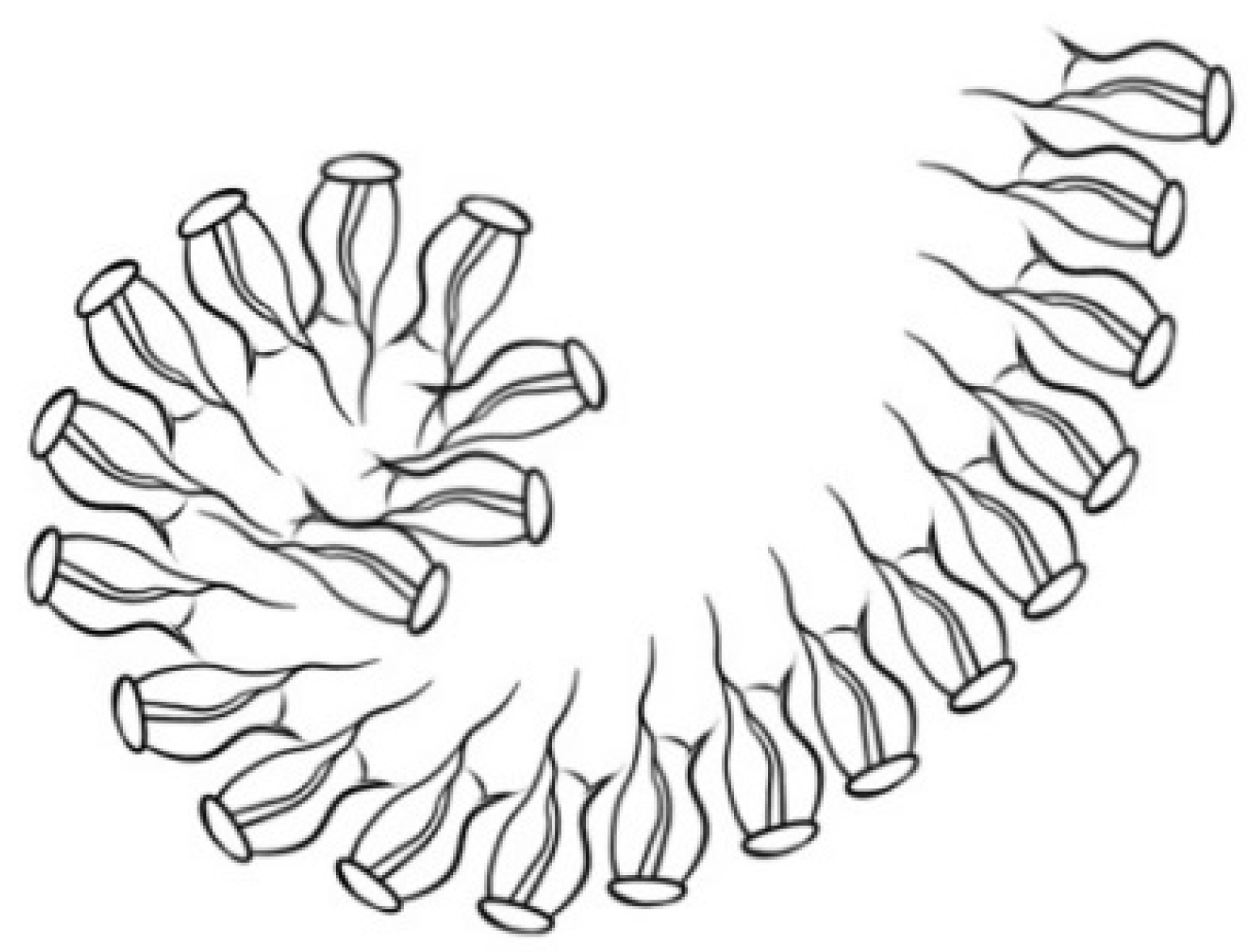 Symmetry 13 02147 g003