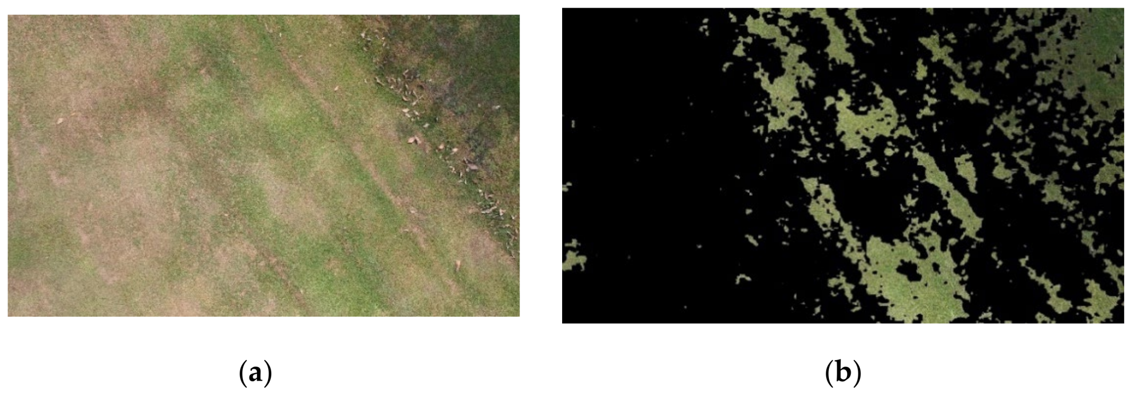 Symmetry 13 02190 g006