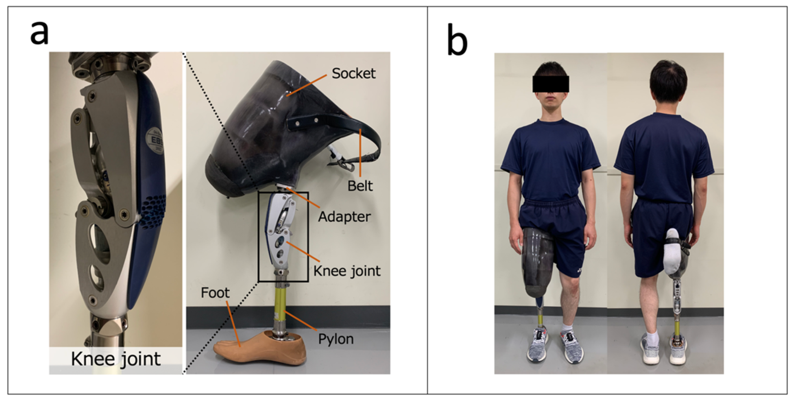 Symmetry 13 02282 g001 Symmetry 13 02282 g001