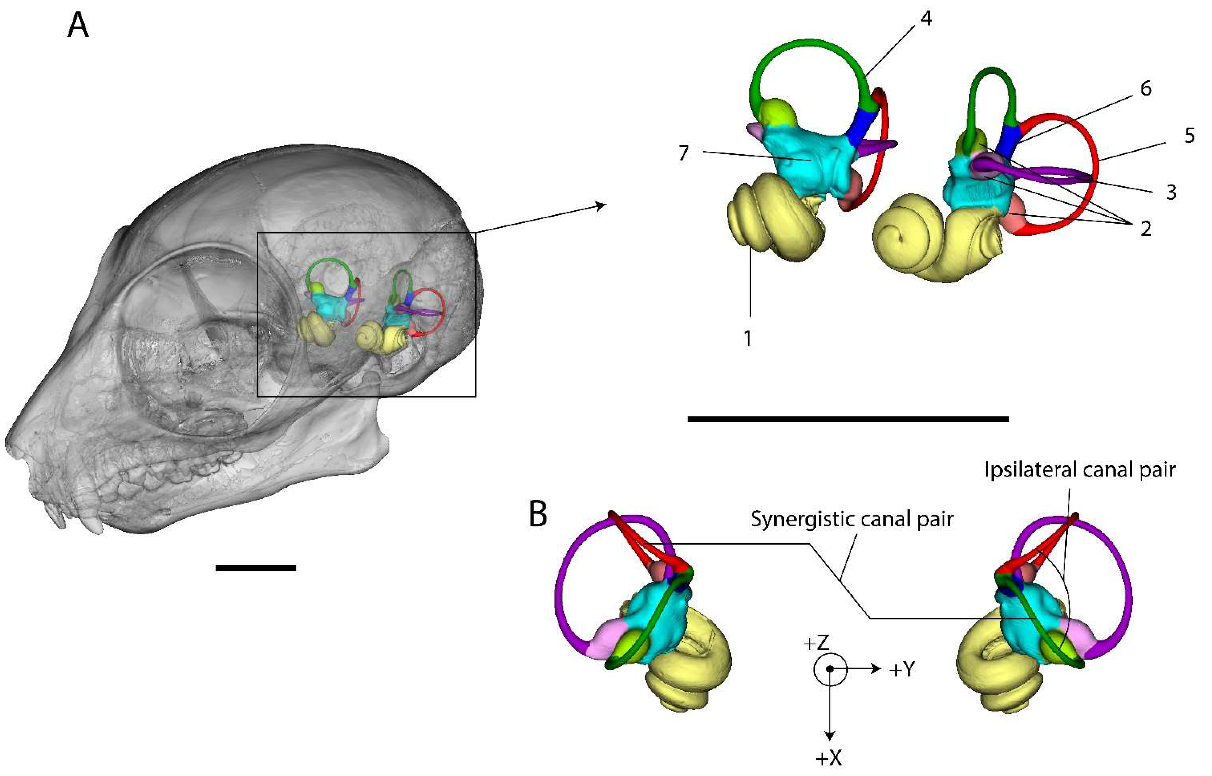 Symmetry 13 02305 g001