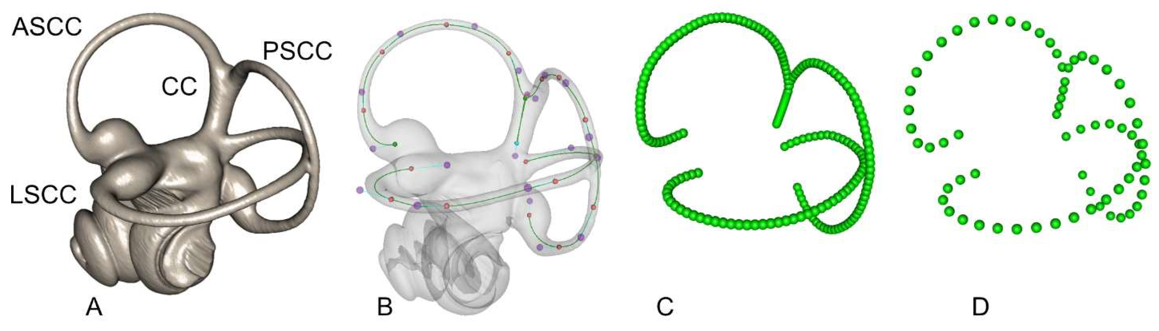 Symmetry 13 02305 g002