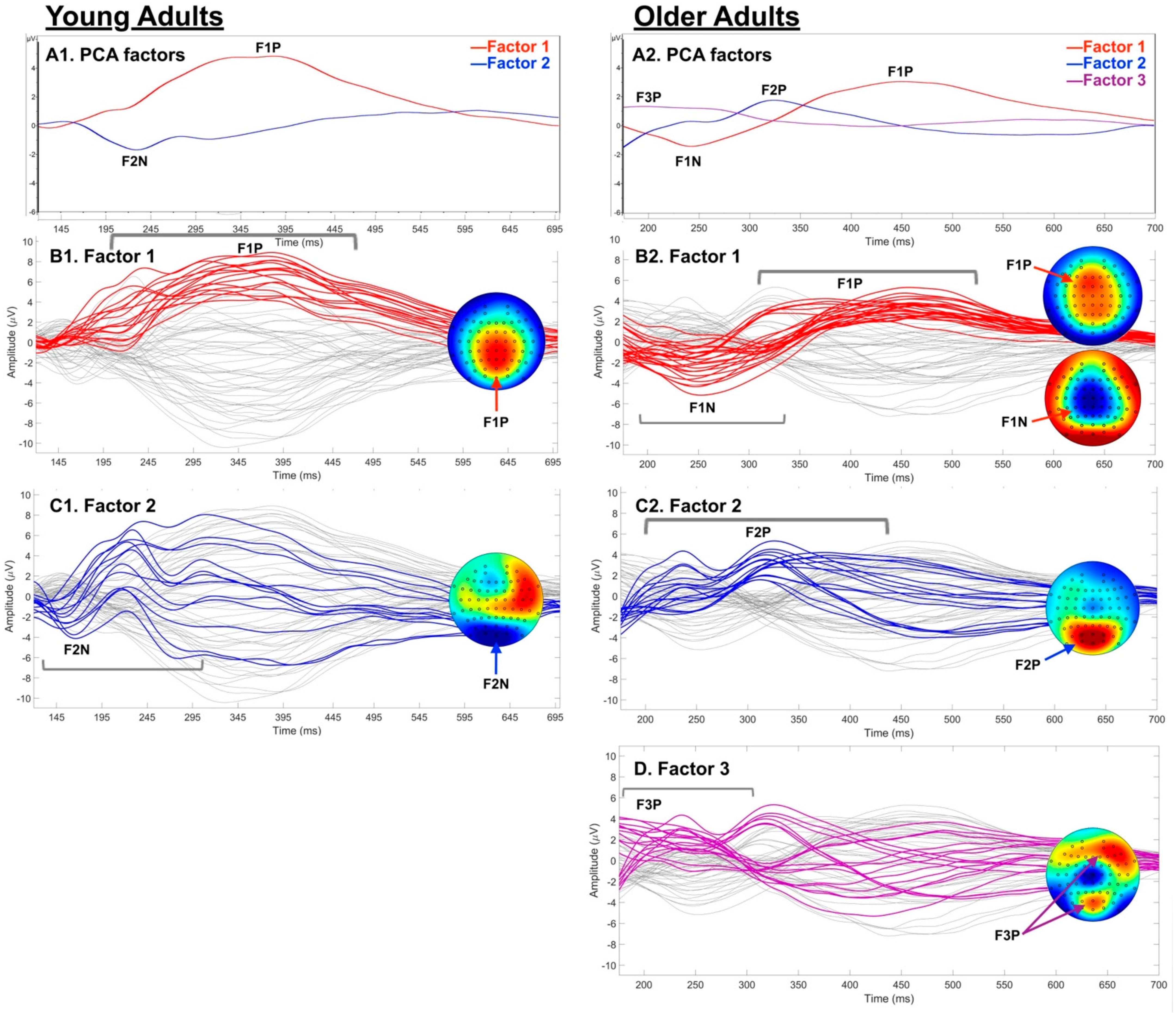 Symmetry 13 02323 g002