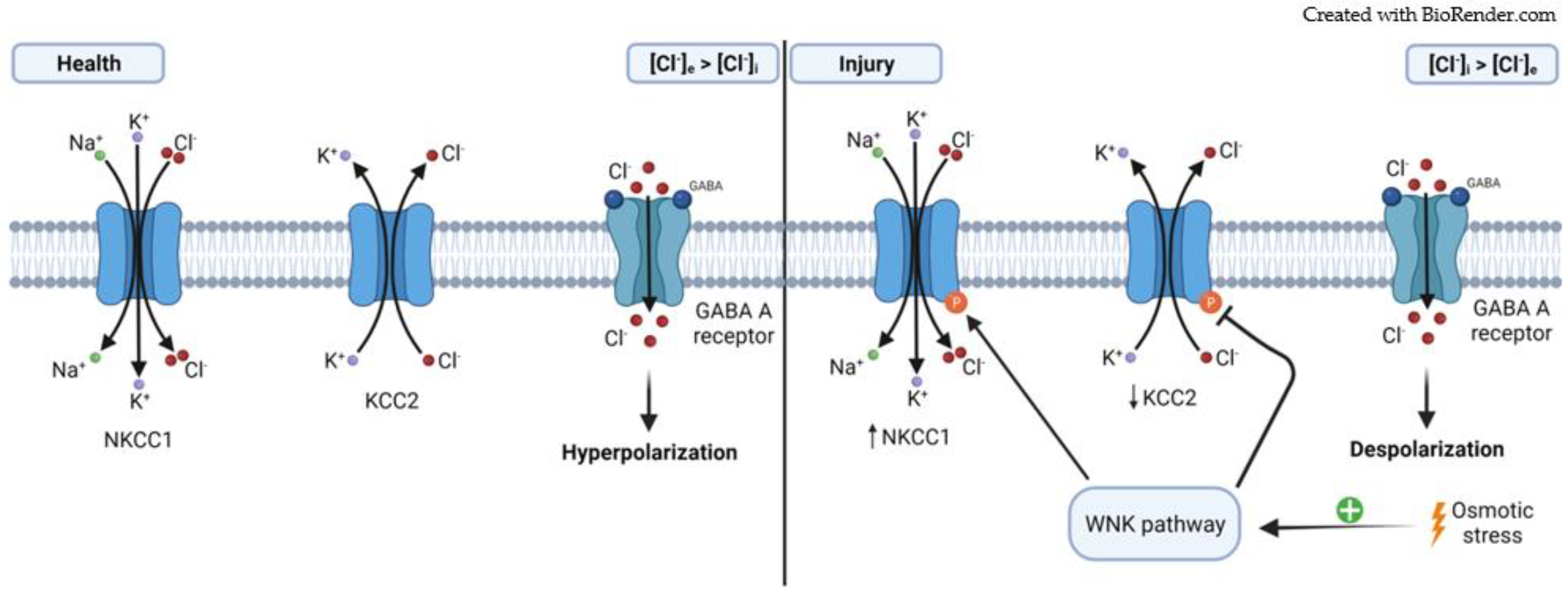 Symmetry 13 02333 g002 Symmetry 13 02333 g002