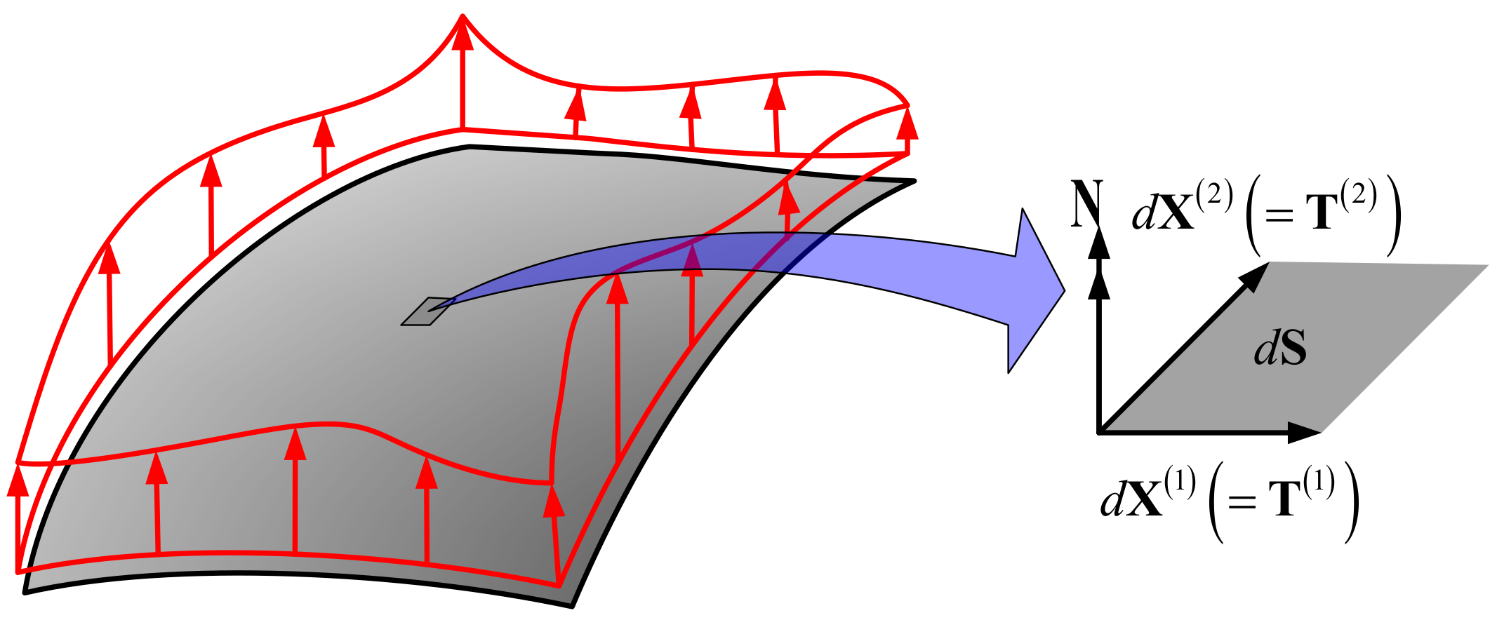 Symmetry 13 02373 g002