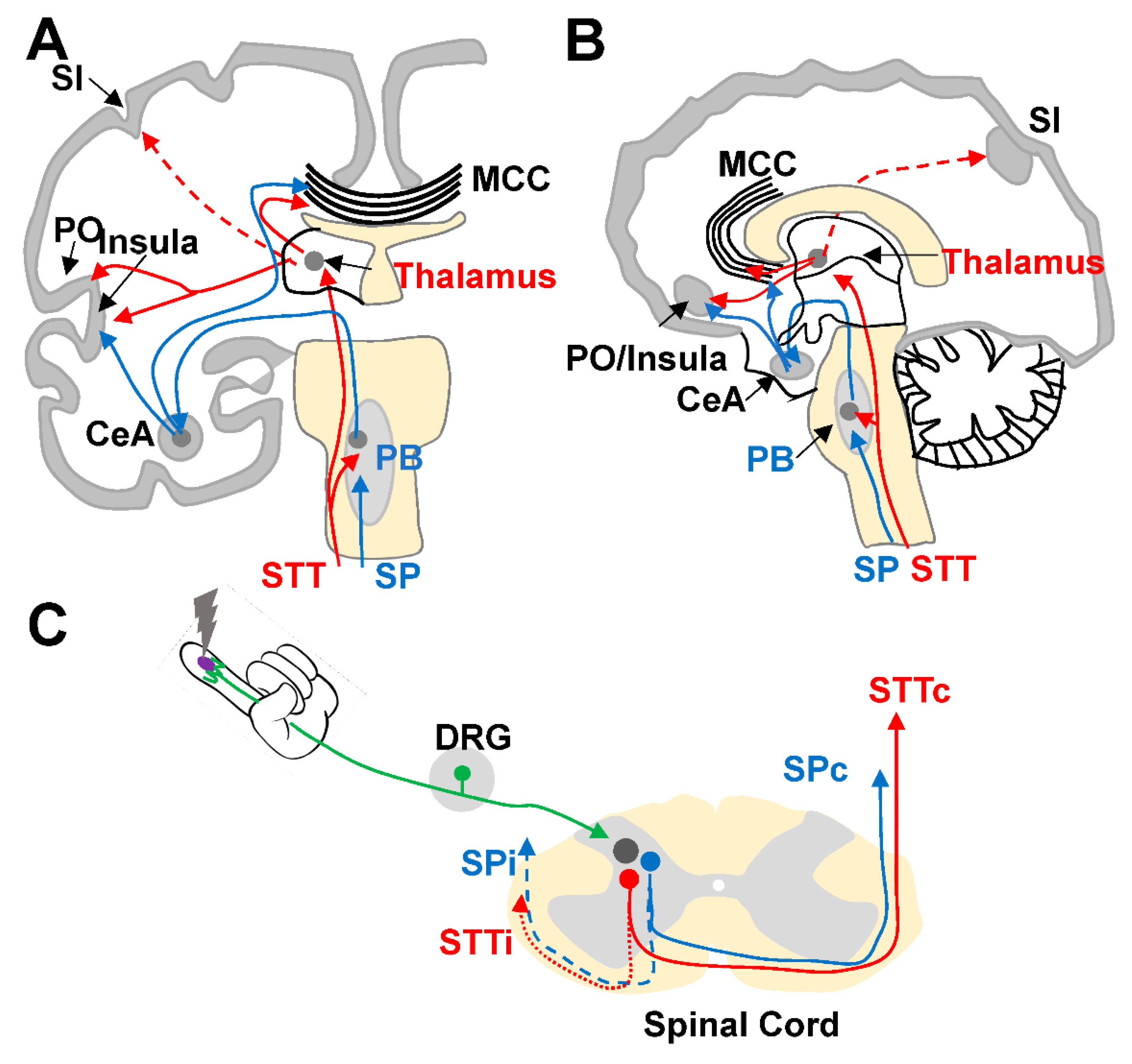 Symmetry 13 02416 g002