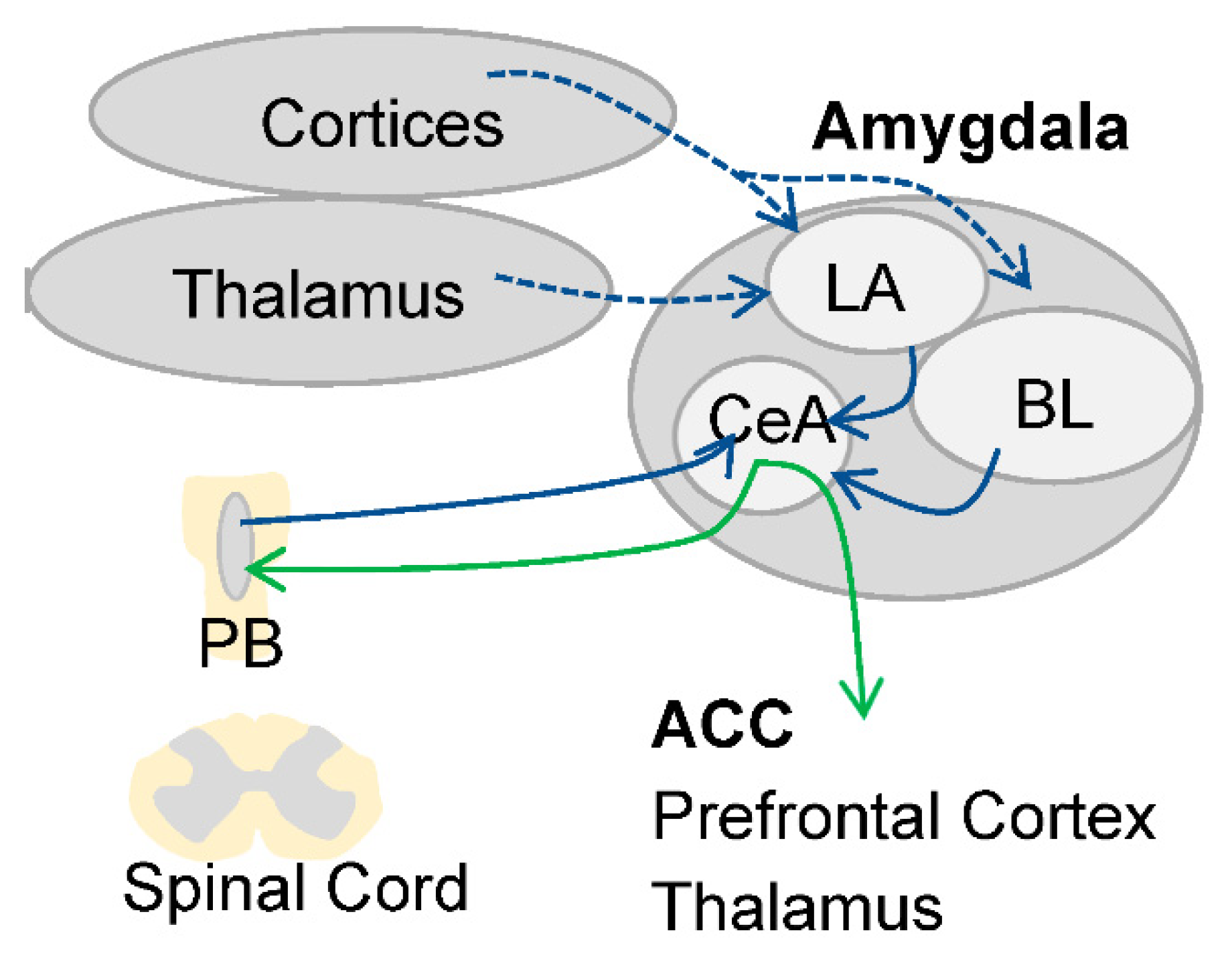 Symmetry 13 02416 g003