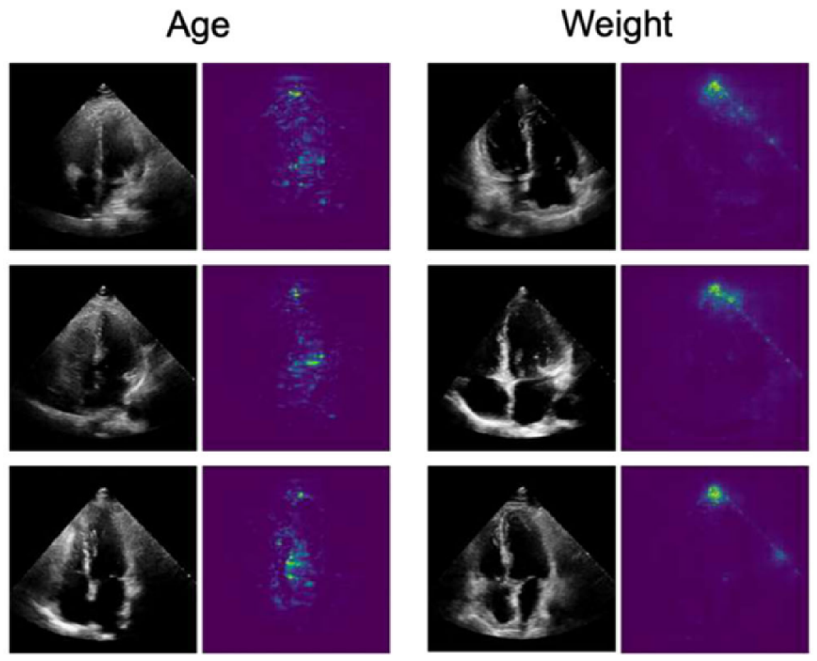 Symmetry 13 02439 g011