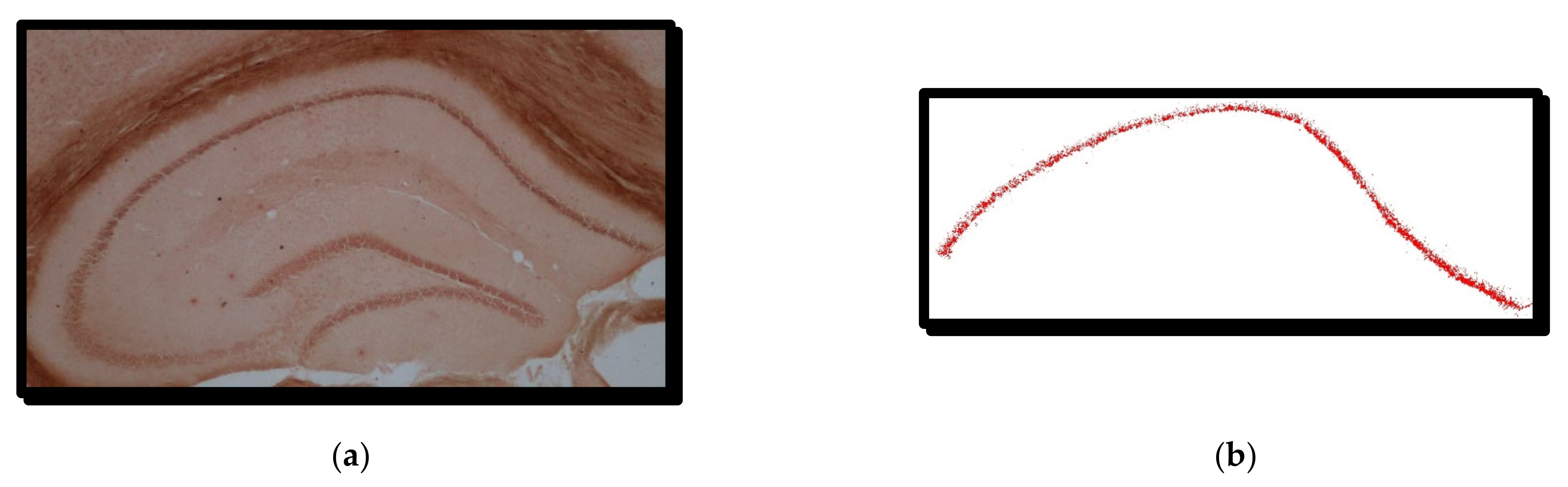 Symmetry 14 00007 g001