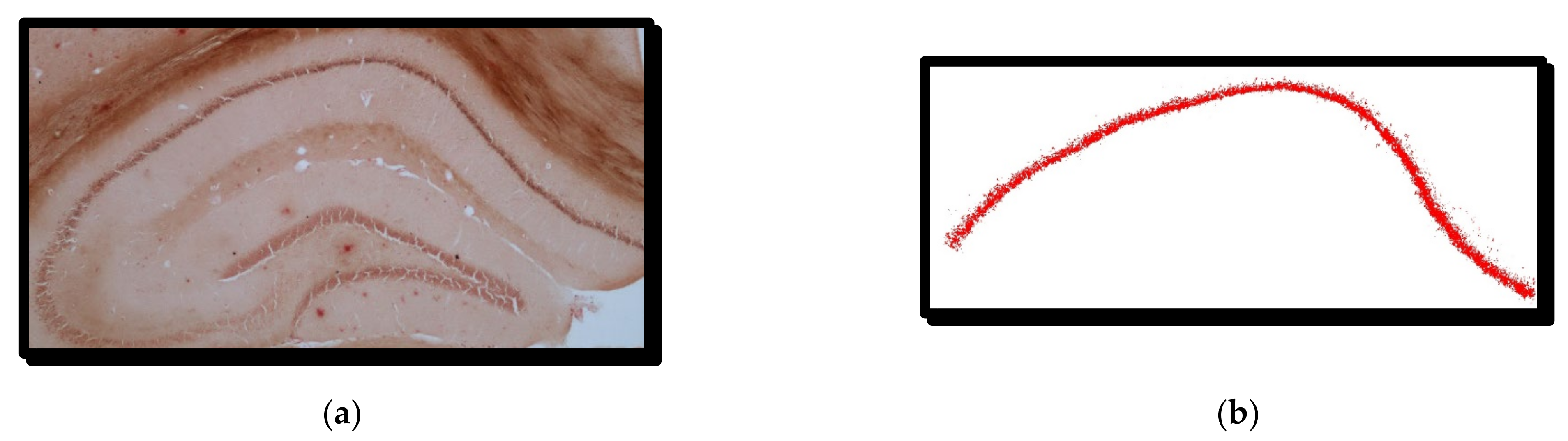 Symmetry 14 00007 g002