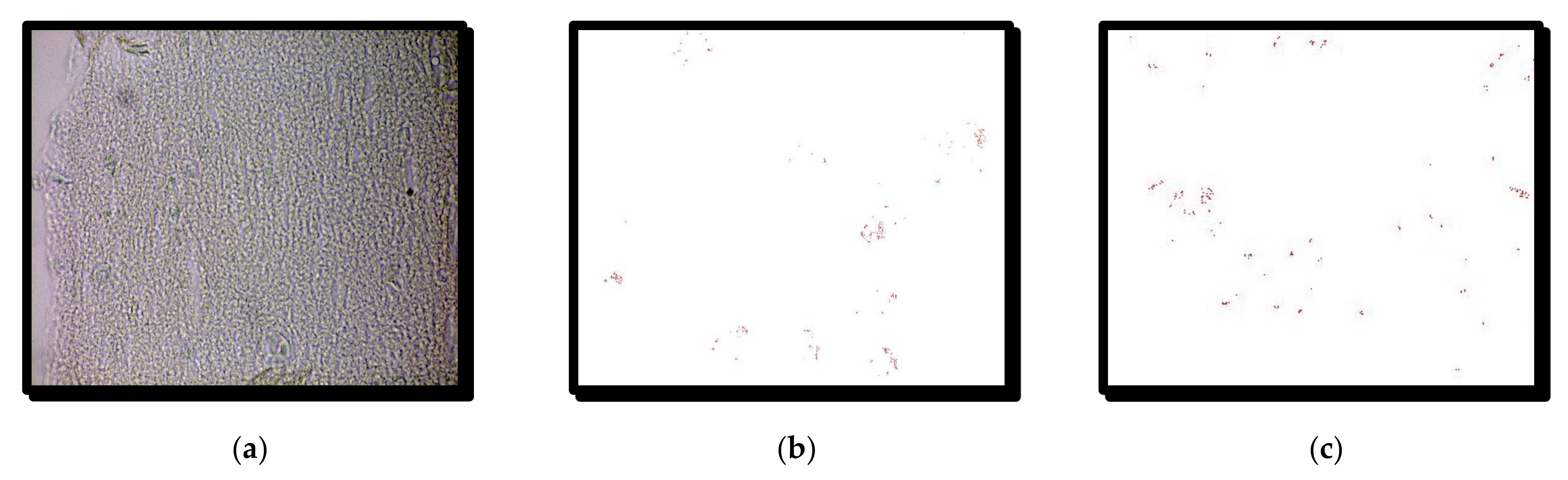 Symmetry 14 00007 g005