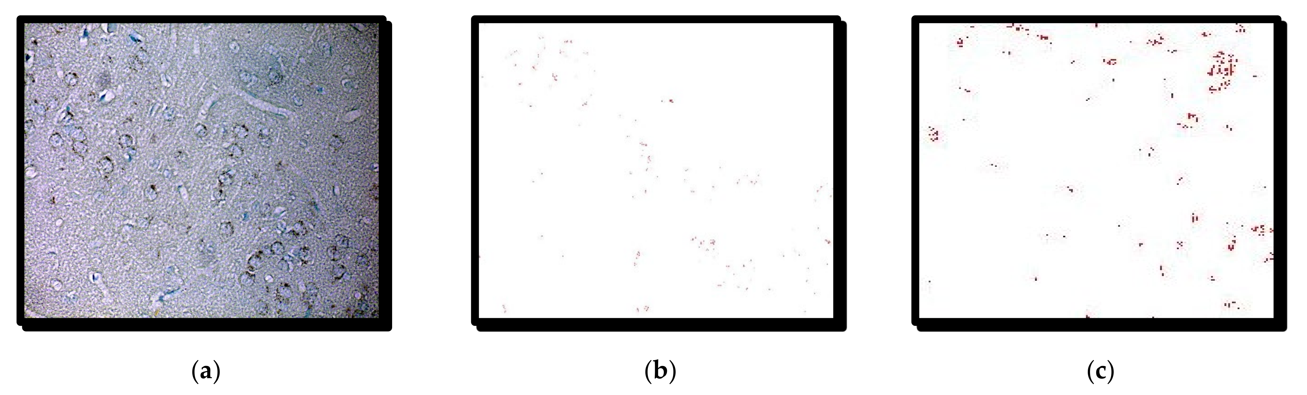 Symmetry 14 00007 g006