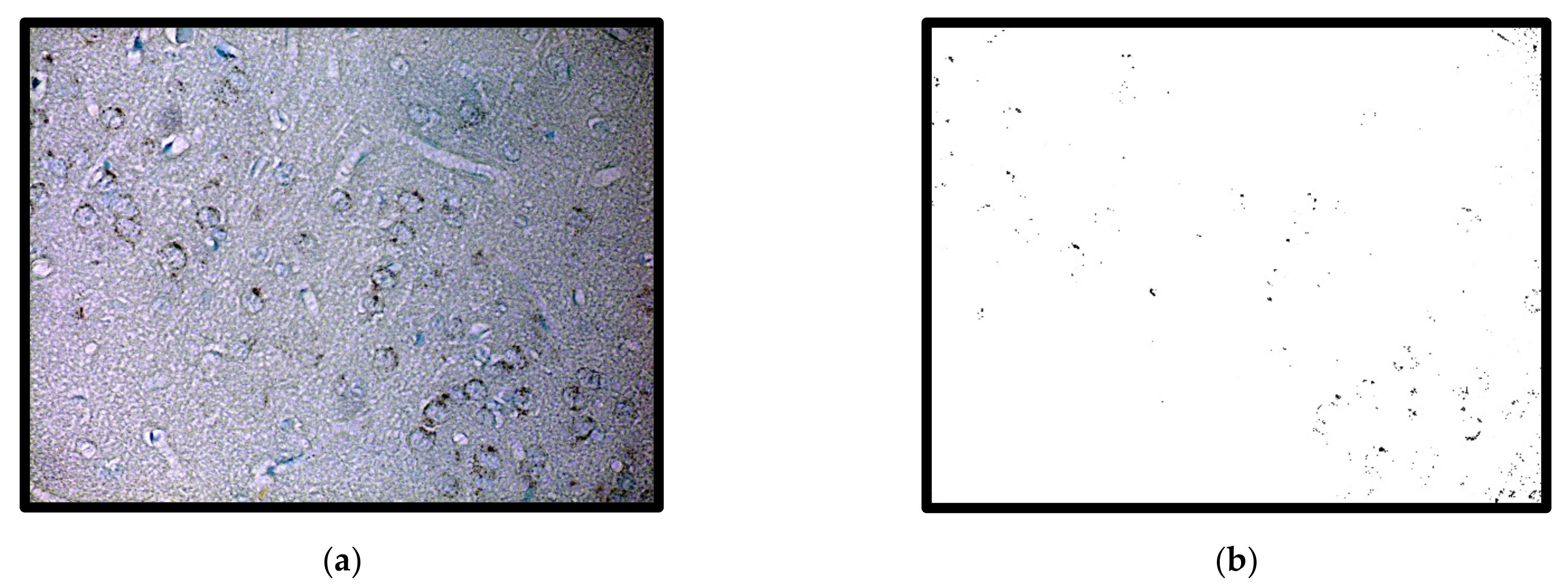 Symmetry 14 00007 g007