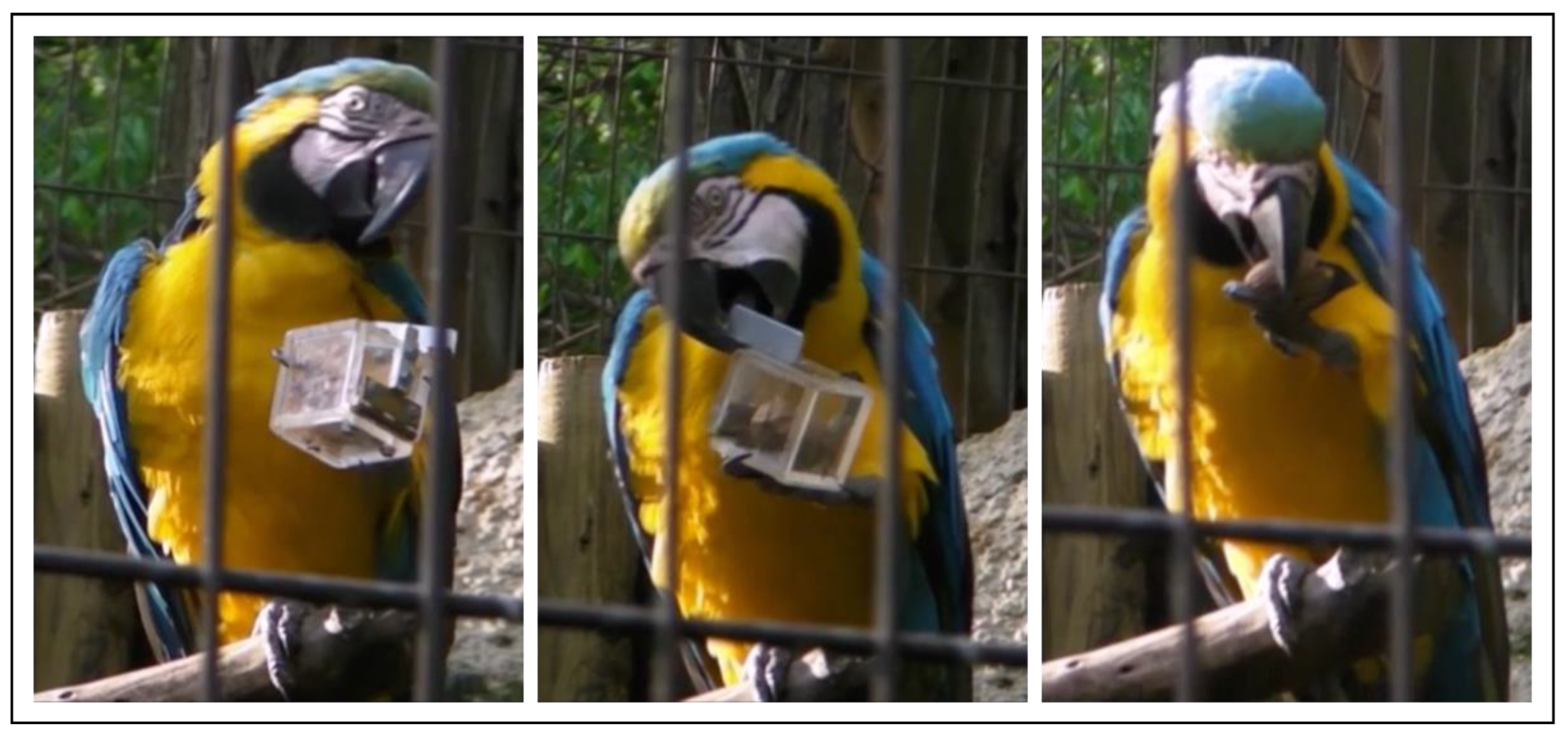 Symmetry 14 00096 g001