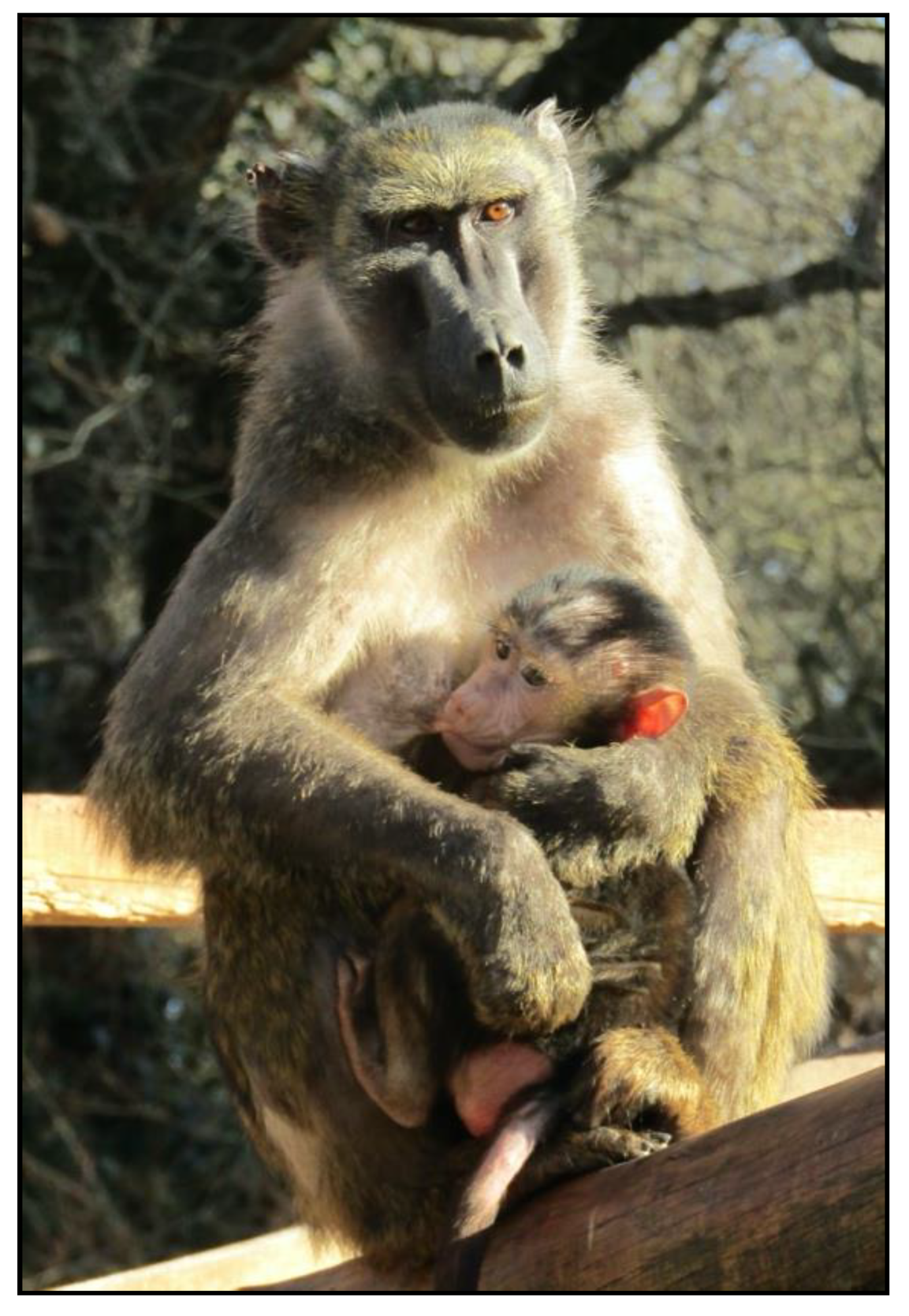 Symmetry 14 00096 g002