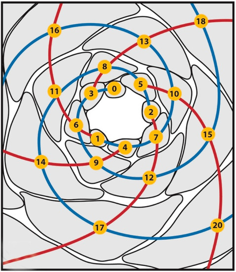 Symmetry 14 00184 g002